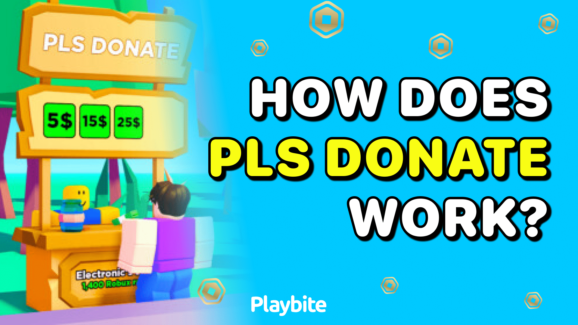 How Does PLS DONATE Work?