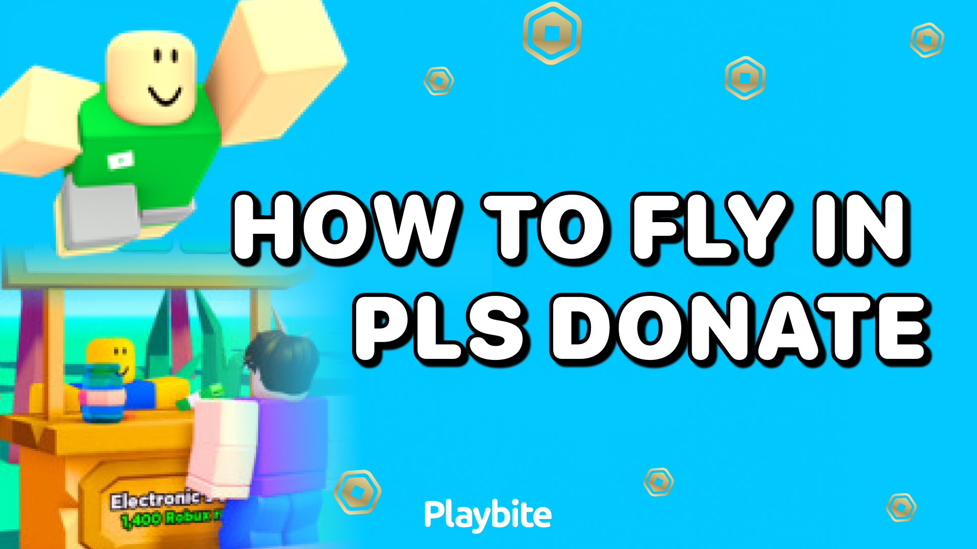 How To Fly In PLS DONATE