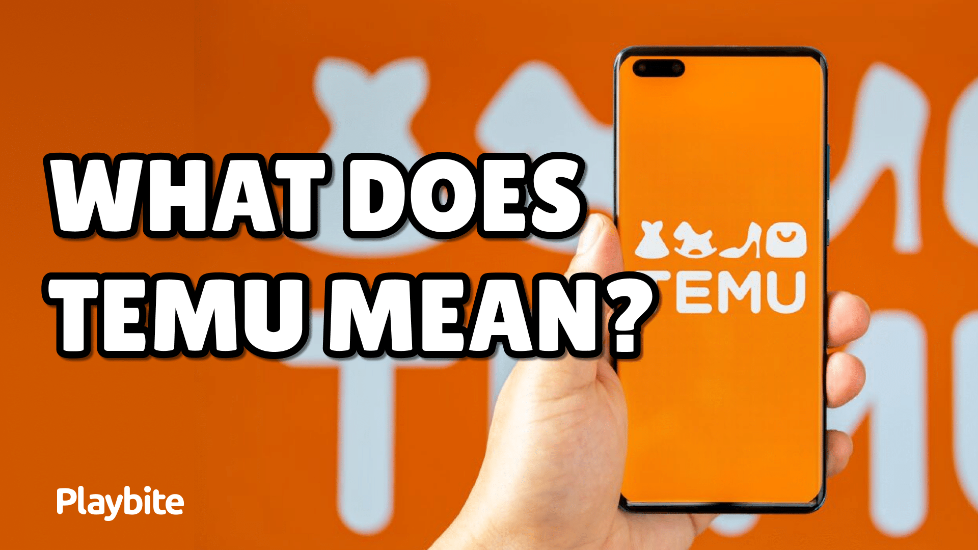 What Does Temu Mean?