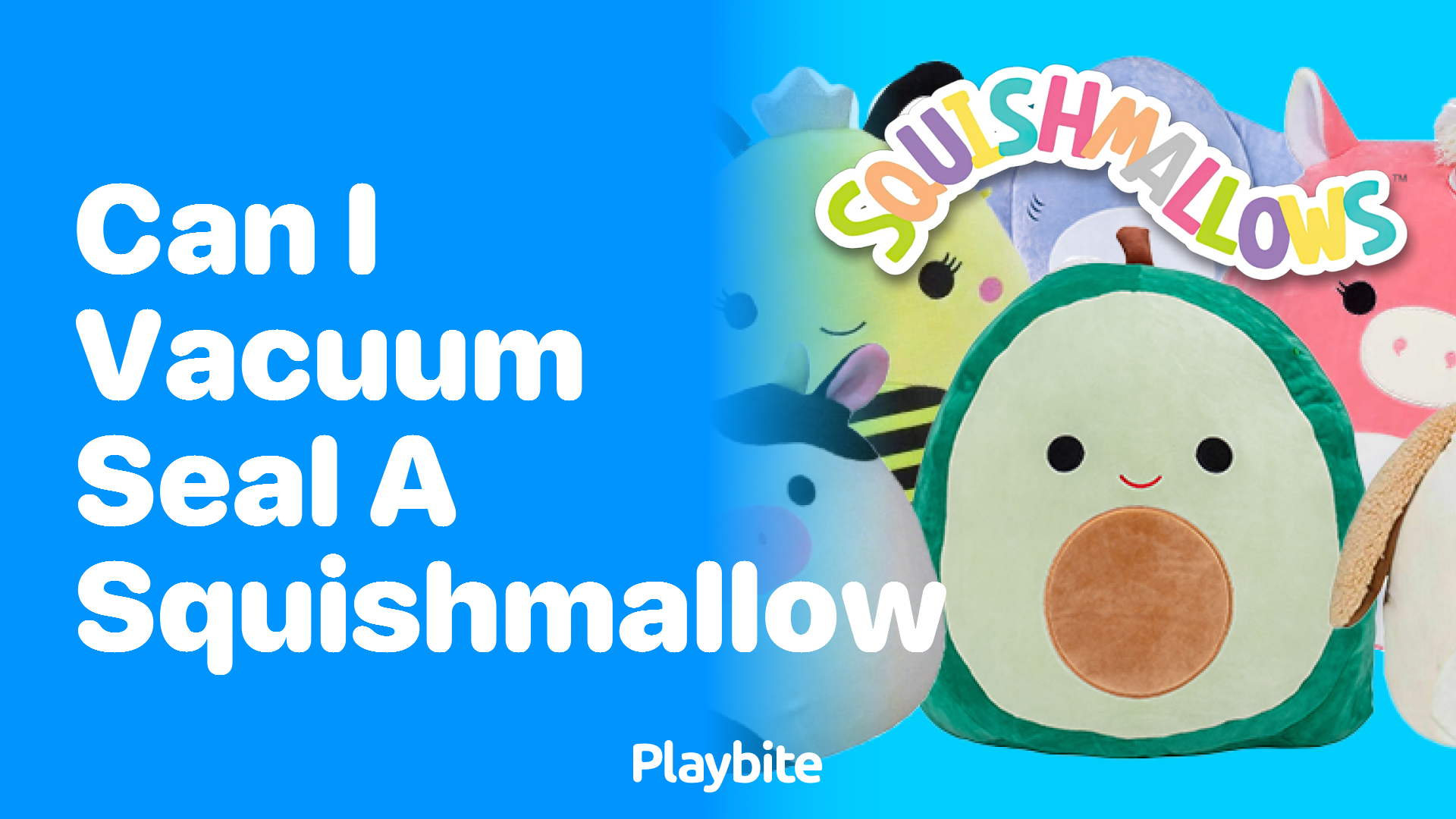 Can I Vacuum Seal a Squishmallow? Here’s What You Need to Know
