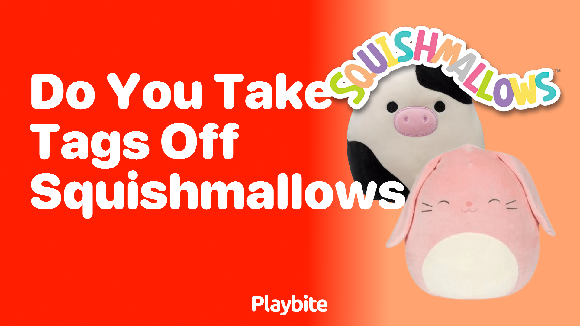 Do You Take Tags Off Squishmallows?