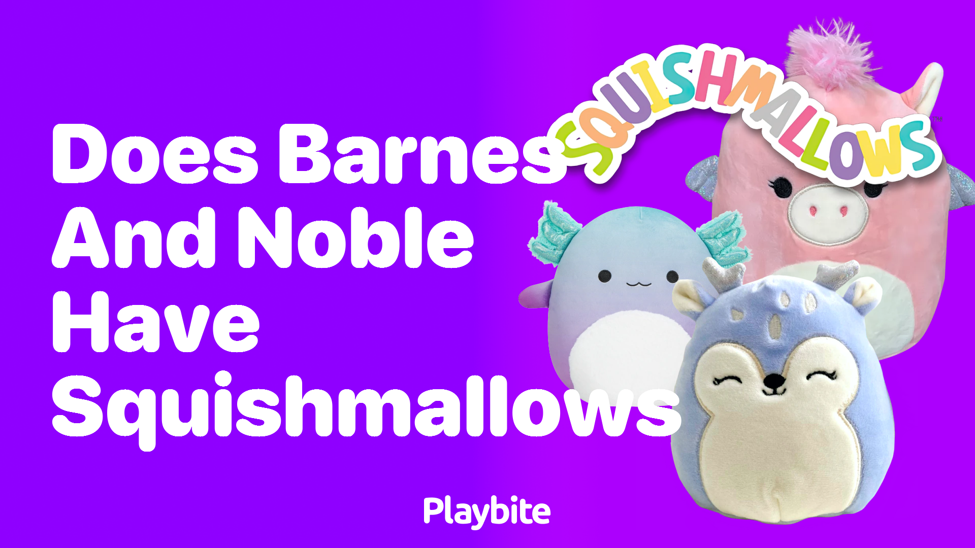 Does Barnes and Noble Have Squishmallows?