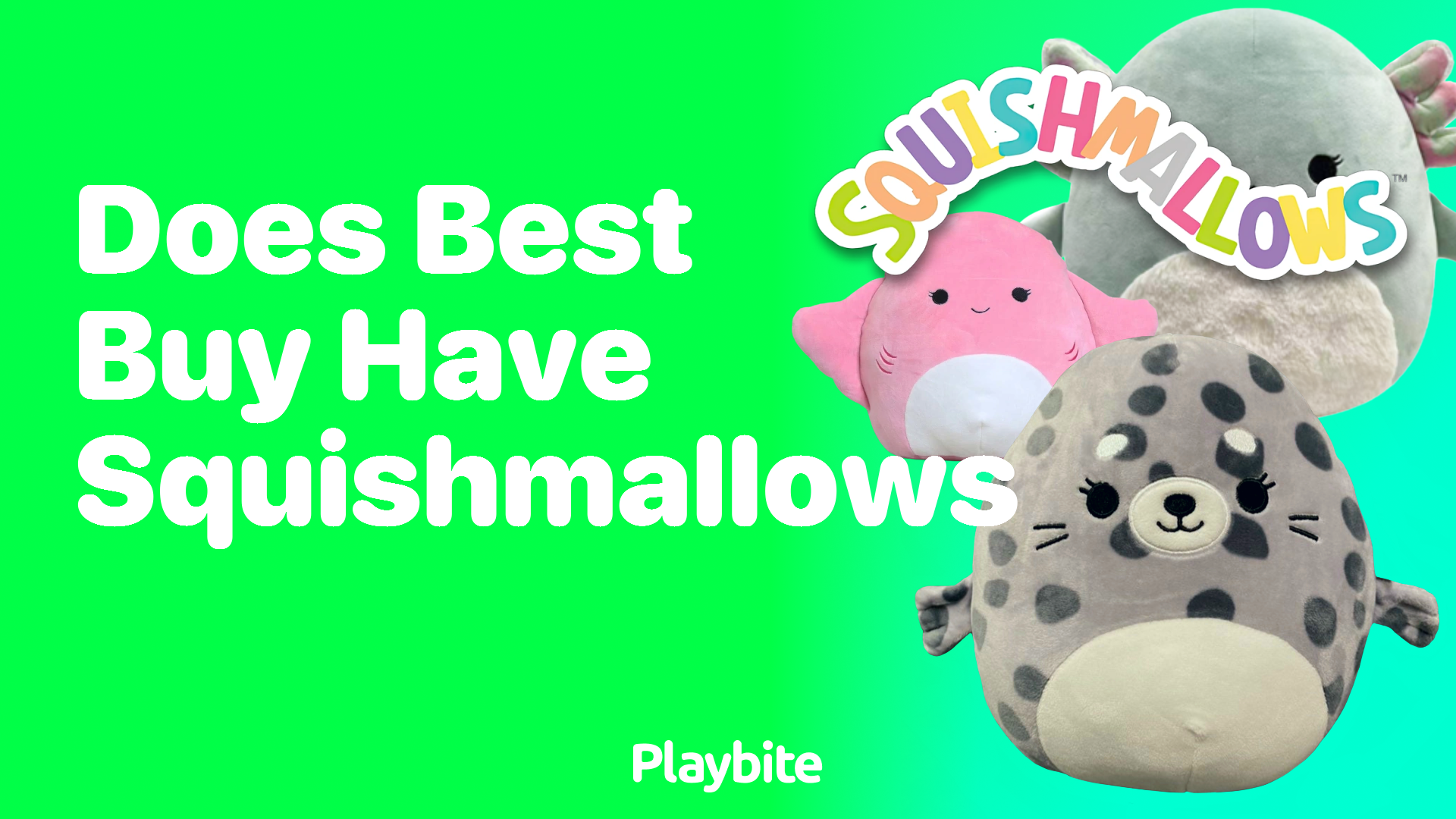 Does Best Buy Have Squishmallows? Find Out Here!