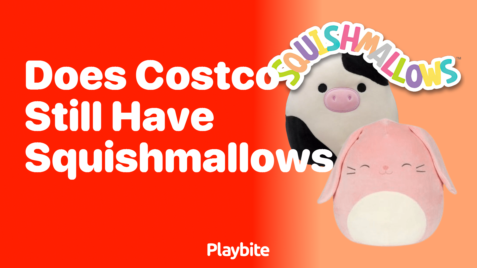Does Costco Still Have Squishmallows?