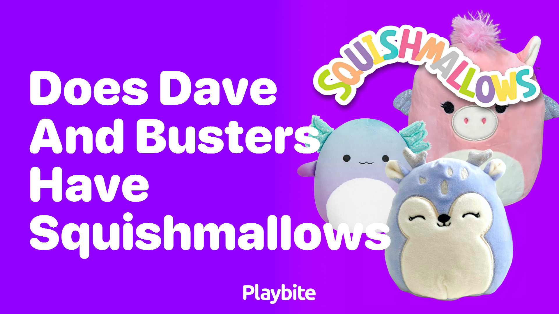 Does Dave and Busters Have Squishmallows?