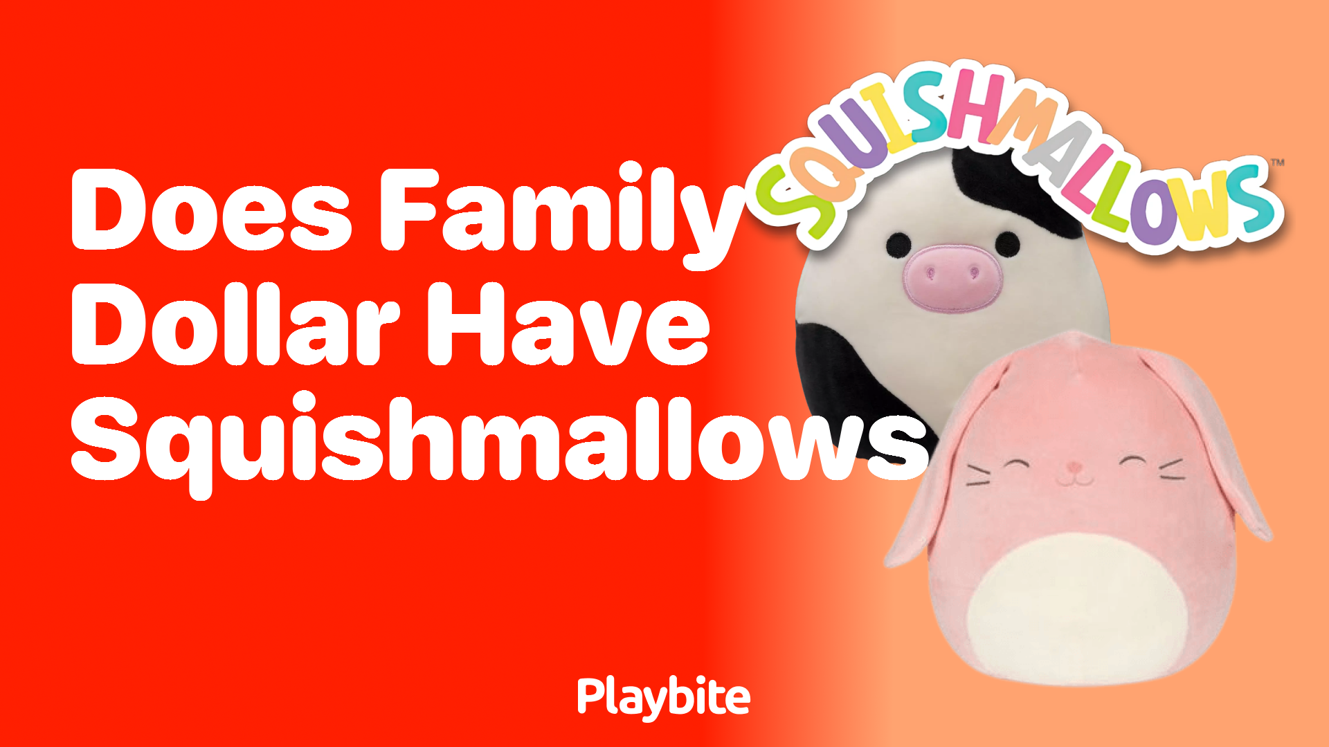 Does Family Dollar Have Squishmallows? Find Out Here!