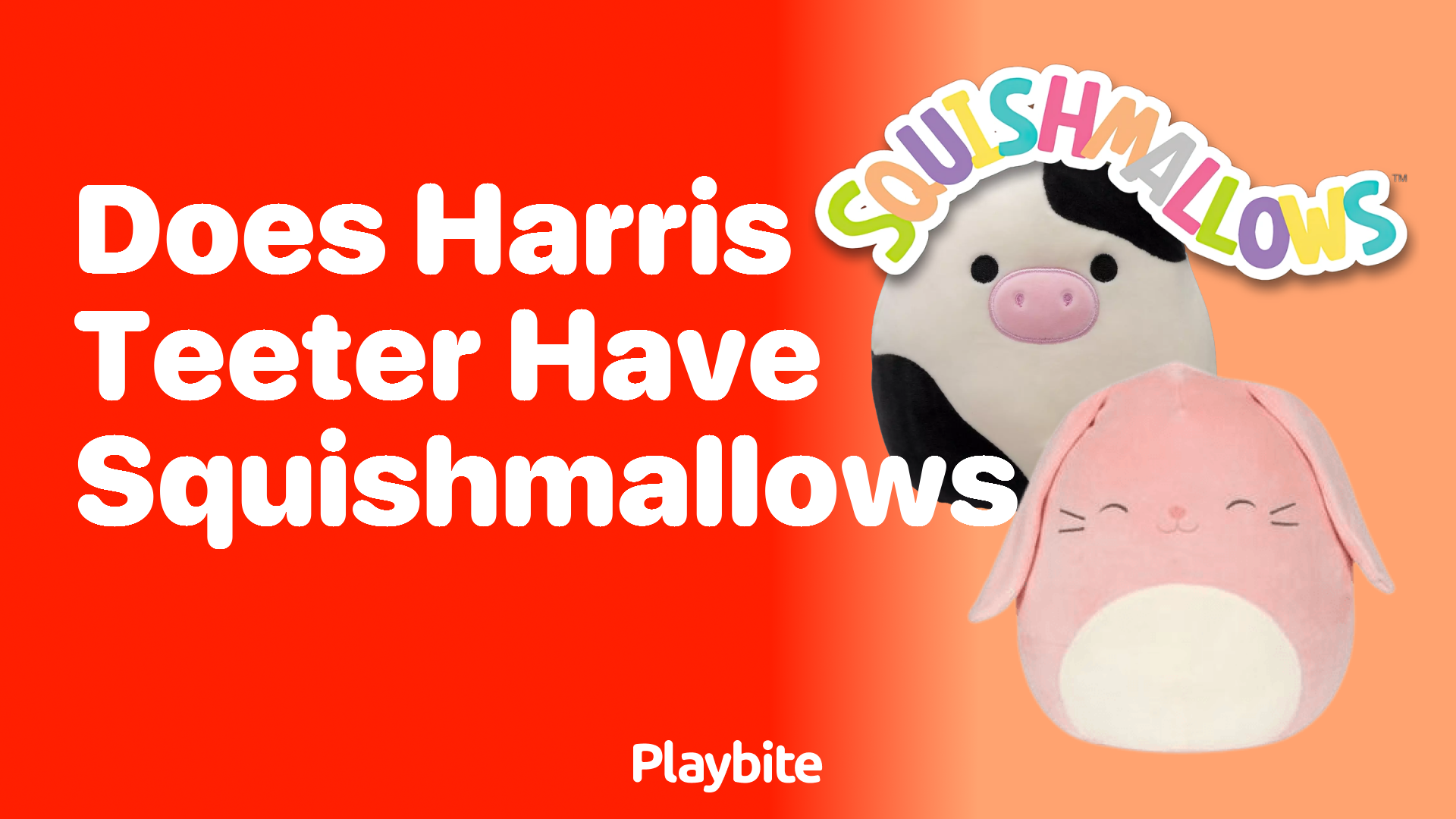 Does Harris Teeter Have Squishmallows? Uncovering the Truth