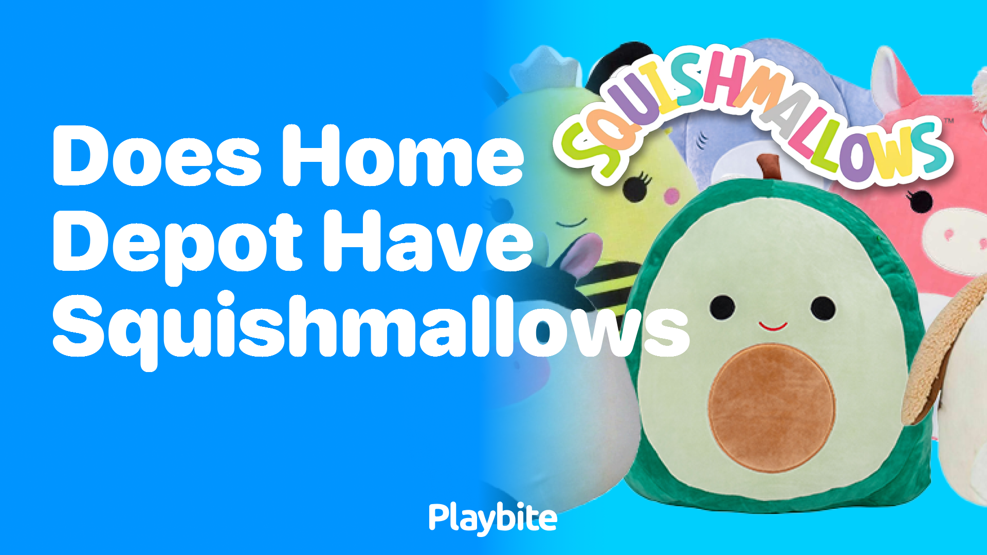 Does Home Depot Have Squishmallows? Find Out Now!
