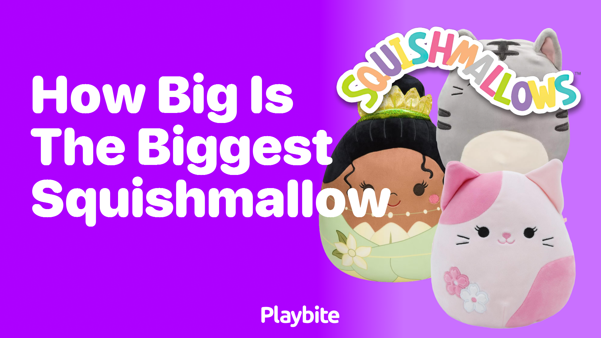 How Big is the Biggest Squishmallow? Discover the Giant Squish! - Playbite