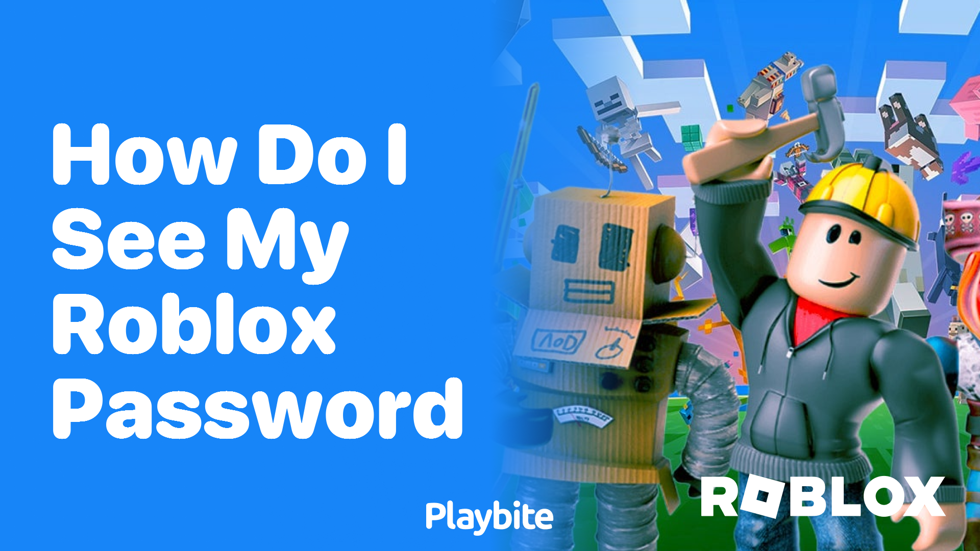 How Do I See My Roblox Password?