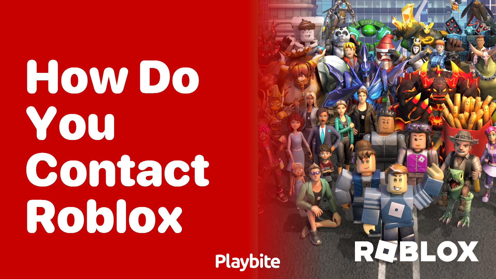 How do you contact Roblox for support and questions?