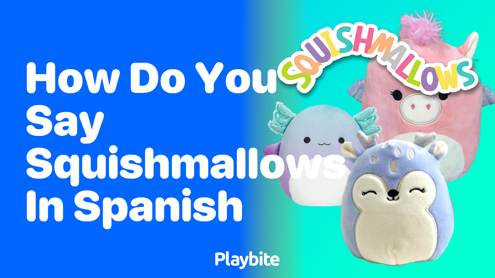 How Do You Say Squishmallows in Spanish? Playbite