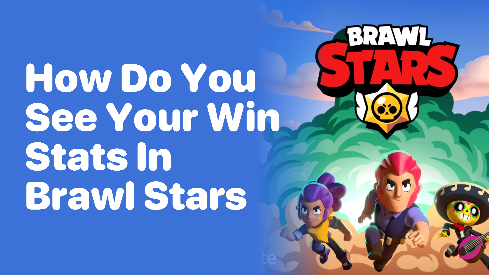 How Do You See Your Win Stats in Brawl Stars?