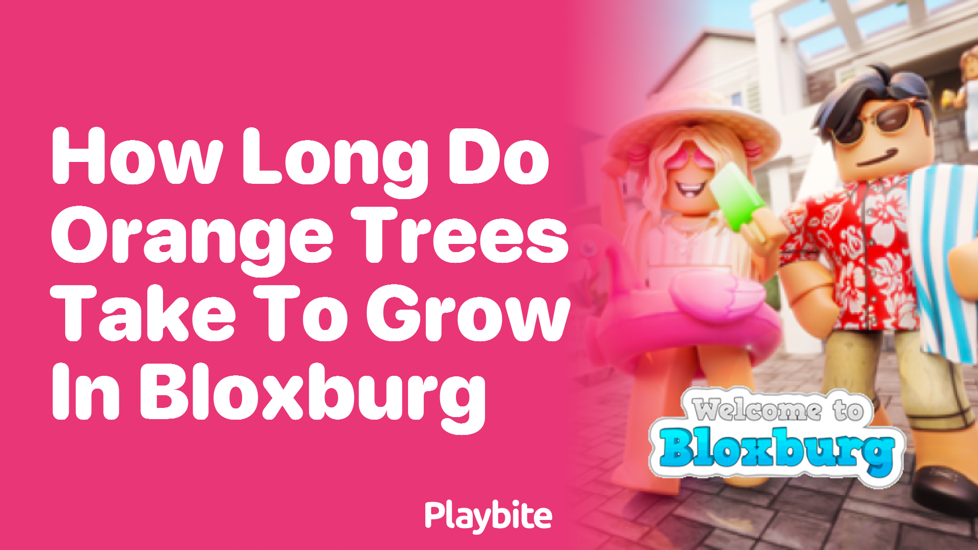How Long Do Orange Trees Take to Grow in Bloxburg?