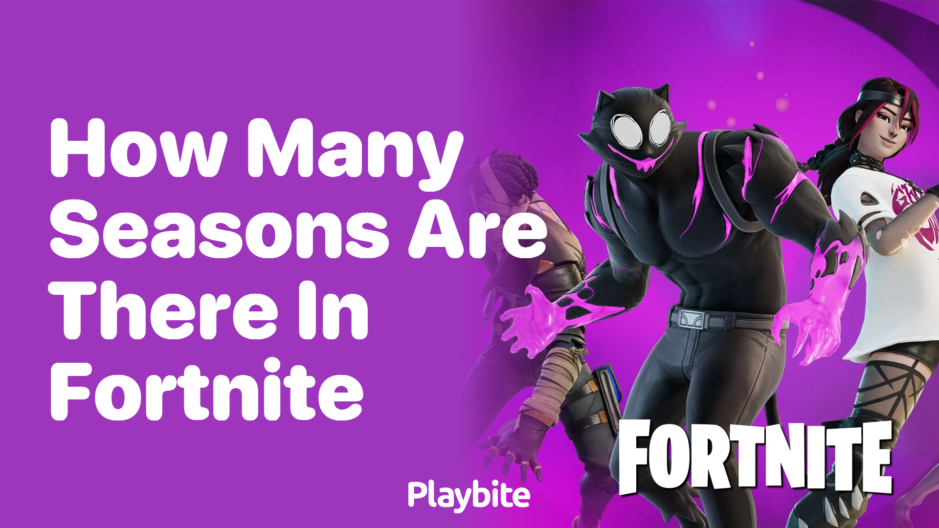 How Many Seasons Are There in Fortnite?