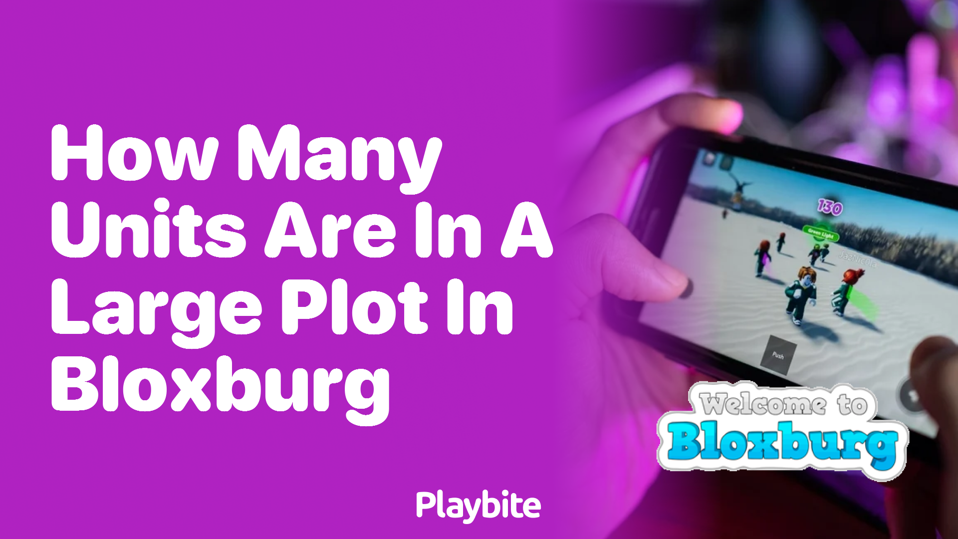 How Many Units Are in a Large Plot in Bloxburg?