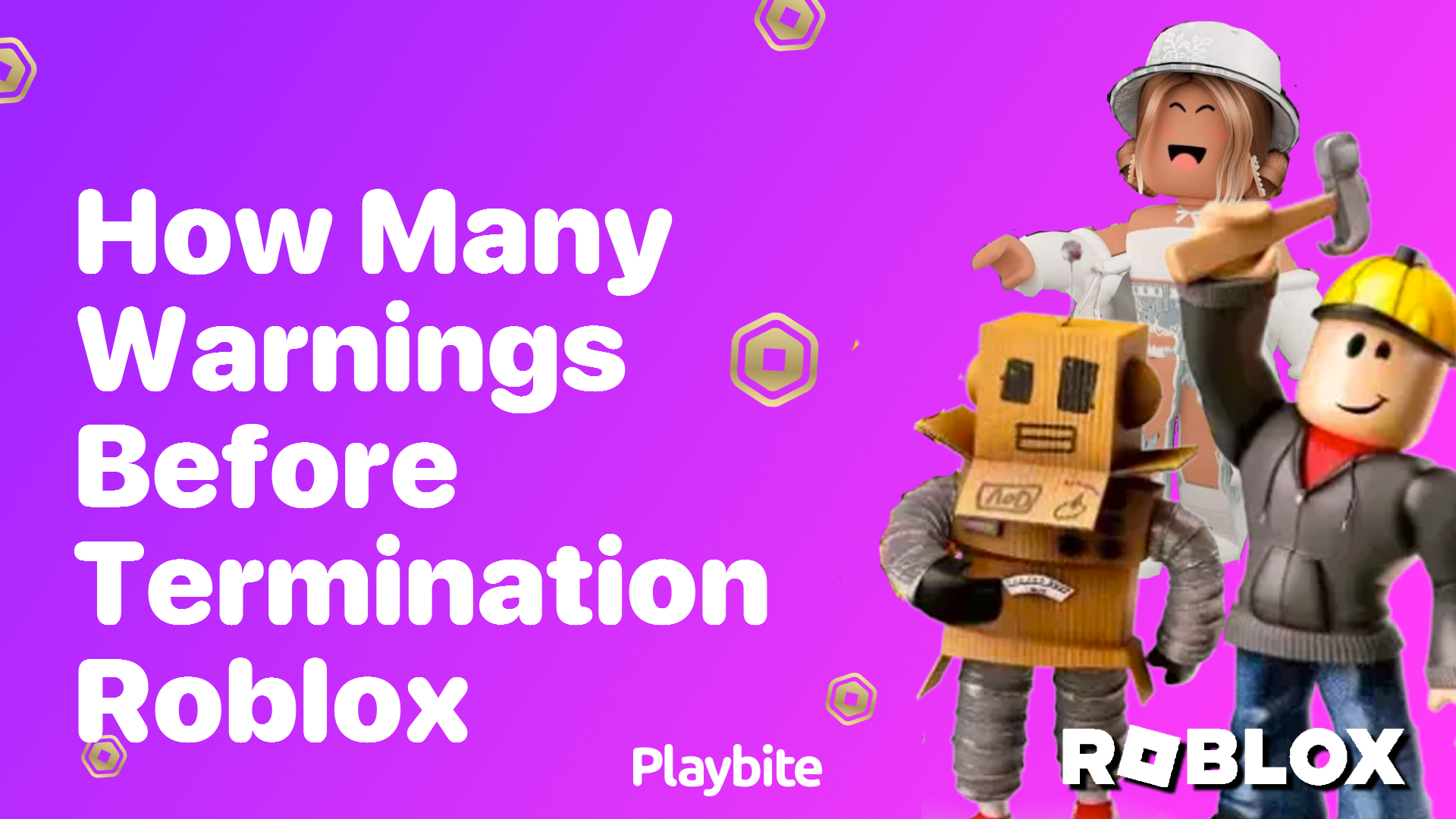 How Many Warnings Before Termination on Roblox?