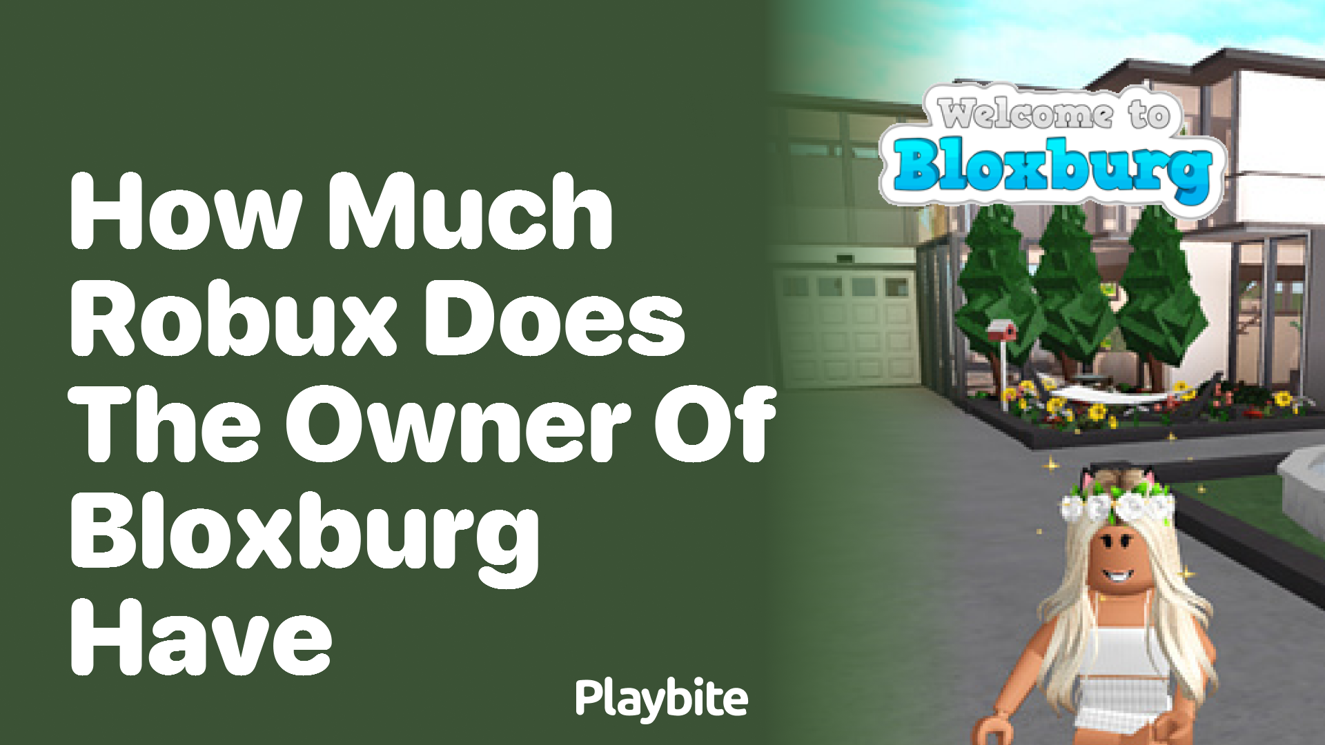 How Much Robux Does the Owner of Bloxburg Have?