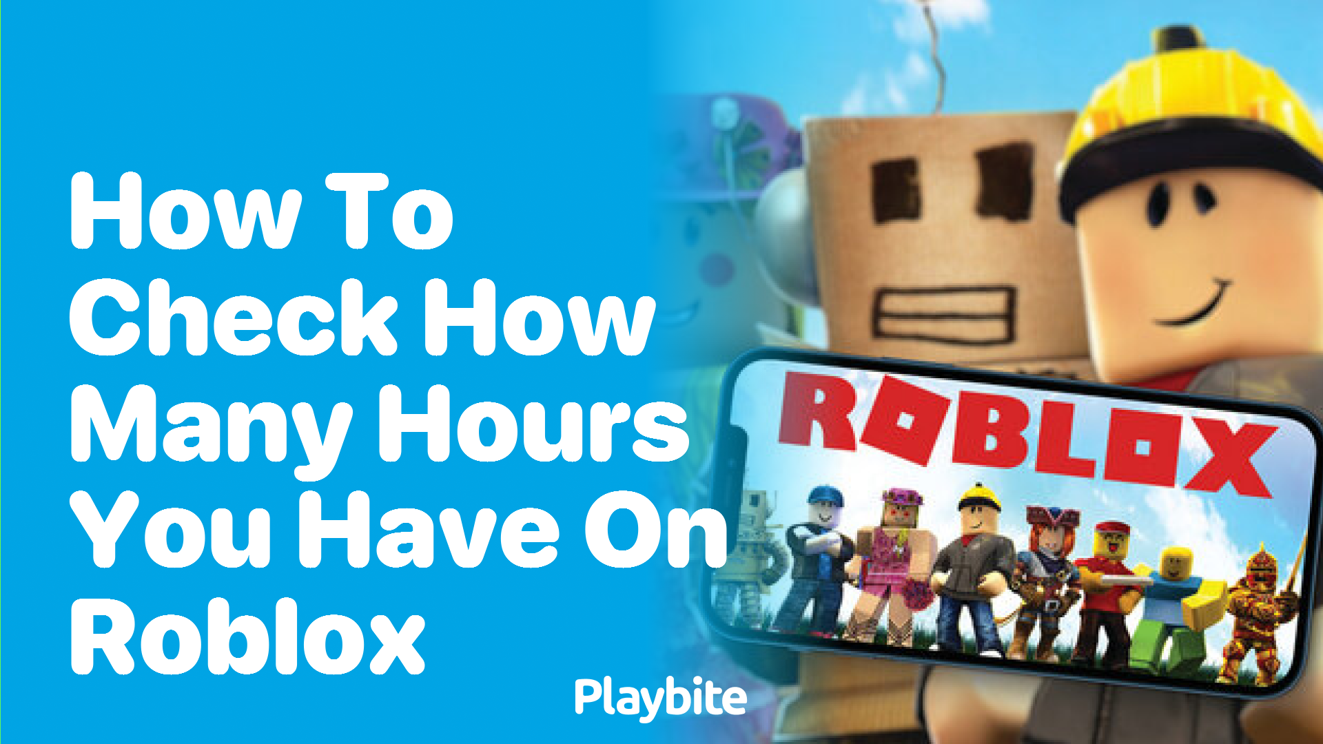 How to Check How Many Hours You Have on Roblox