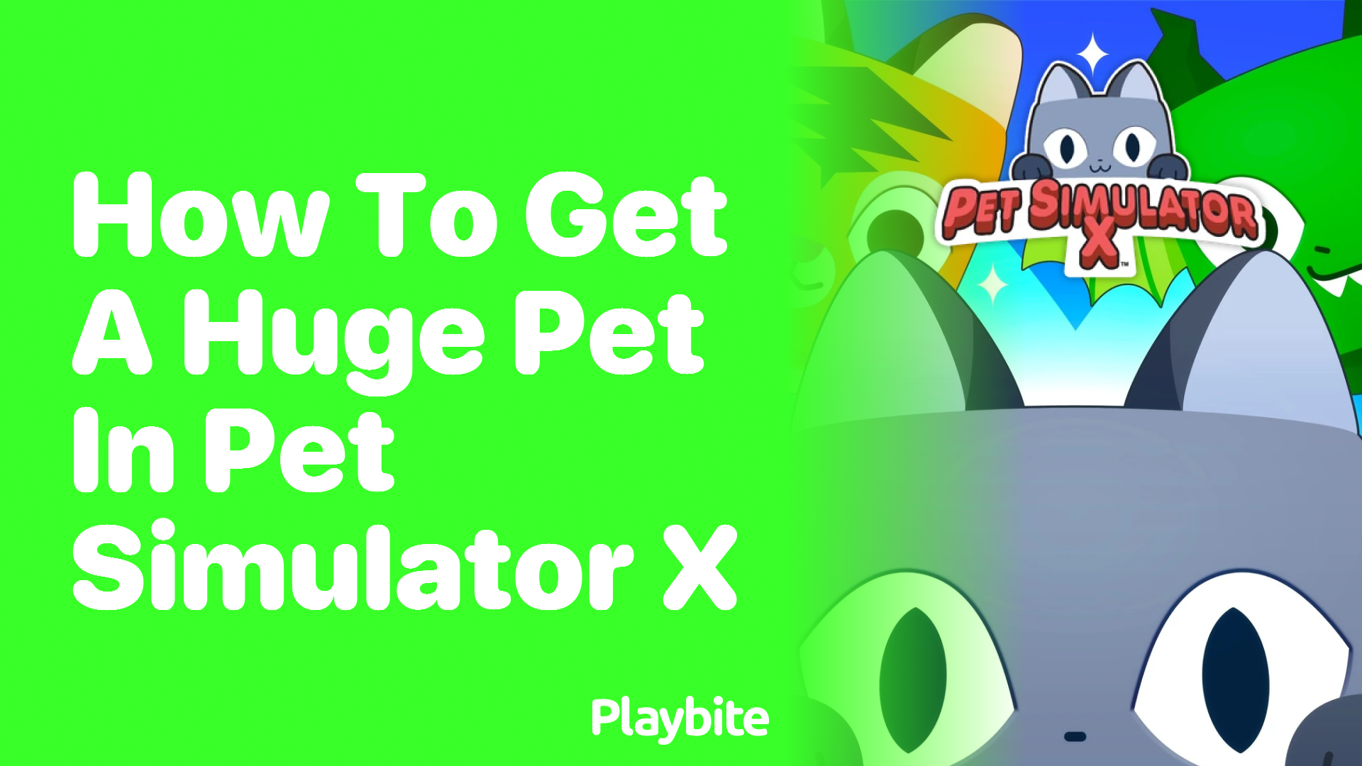 How to Get a Huge Pet in Pet Simulator X