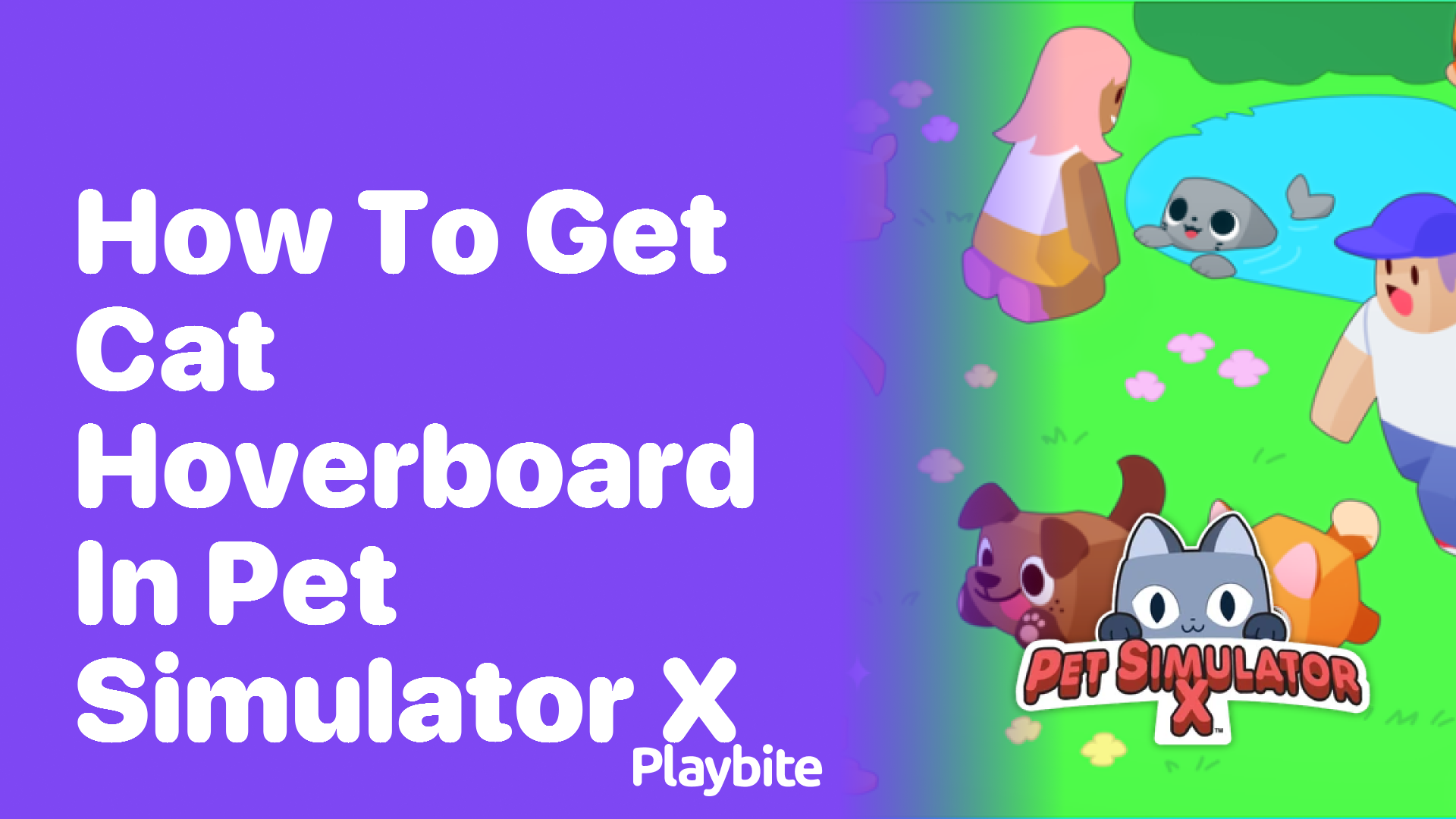 How to Get the Cat Hoverboard in Pet Simulator X
