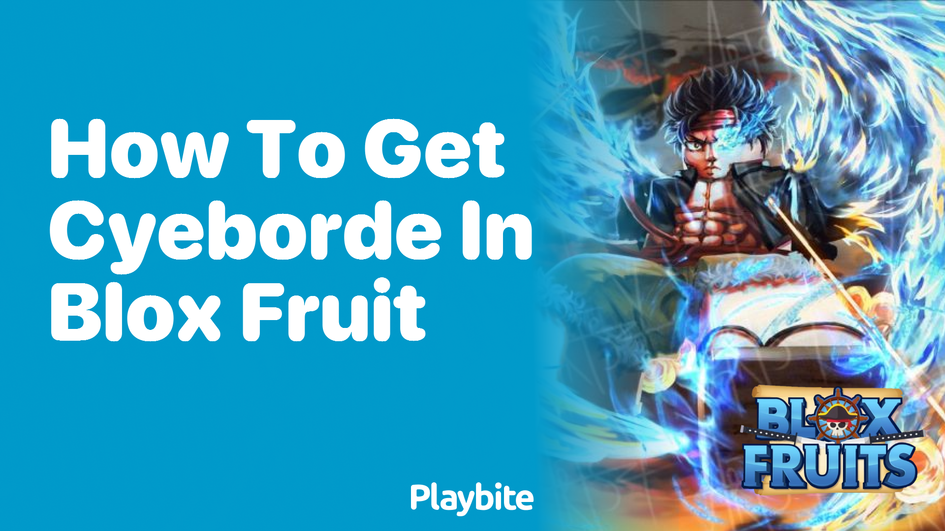 How to Get Cyeborde in Blox Fruit