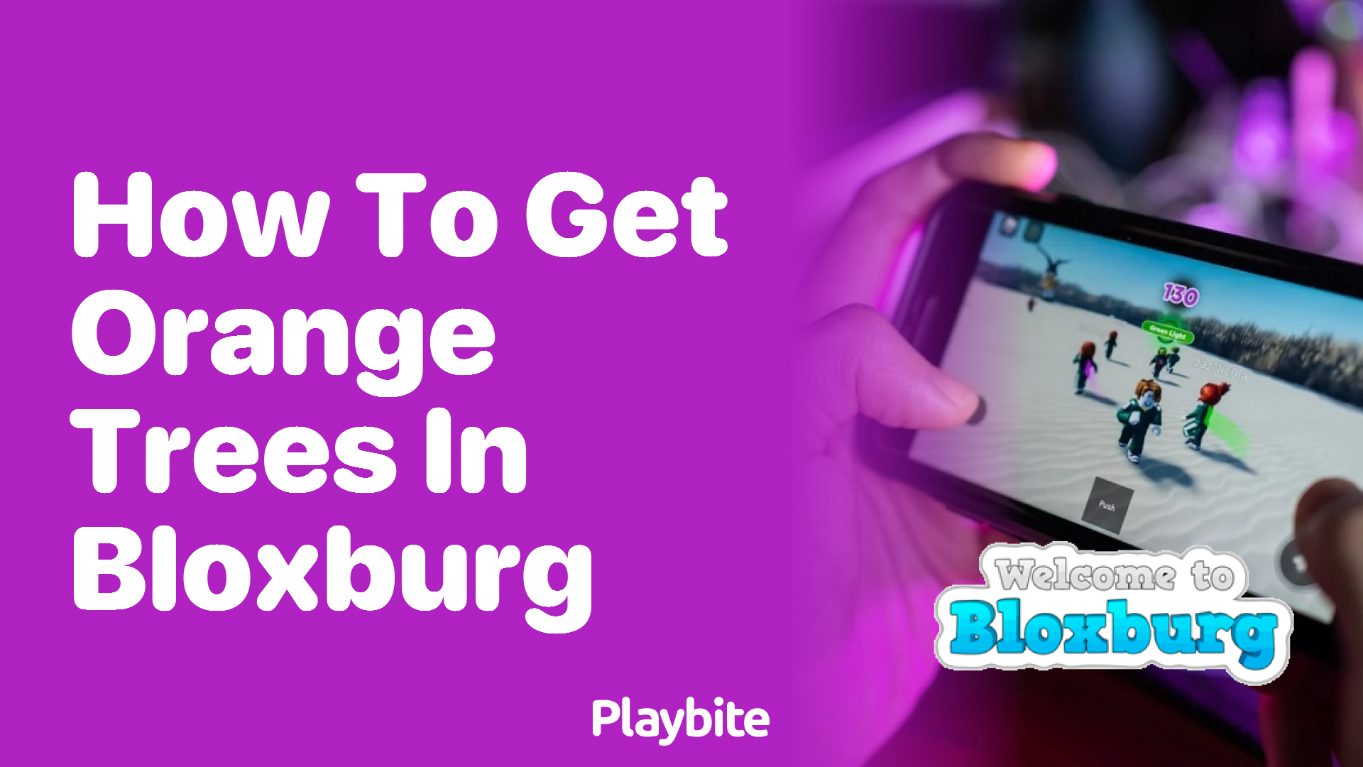 How to Get Orange Trees in Bloxburg