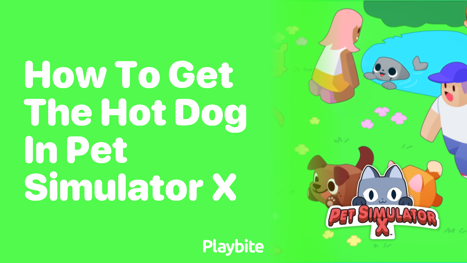 How to Get the Hot Dog in Pet Simulator X