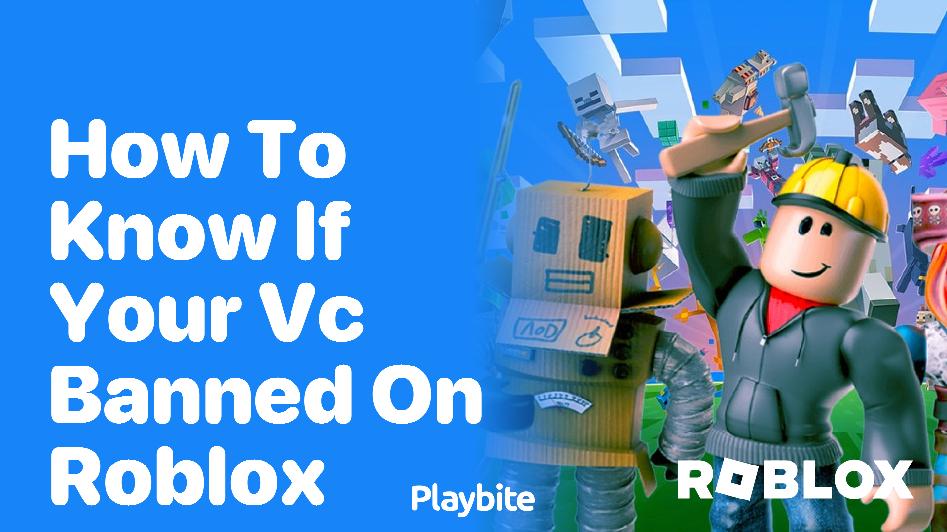 How to Know If Your VC is Banned on Roblox