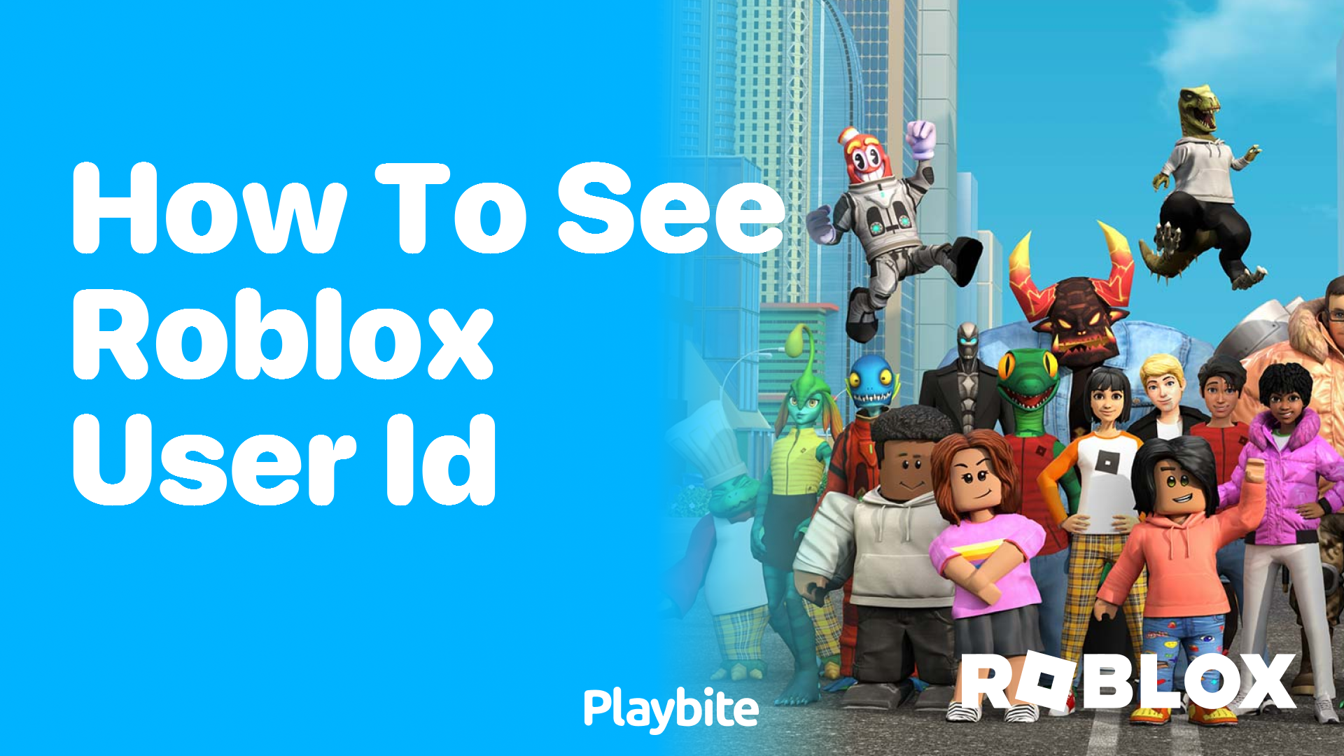 How to See Your Roblox User ID: A Simple Guide