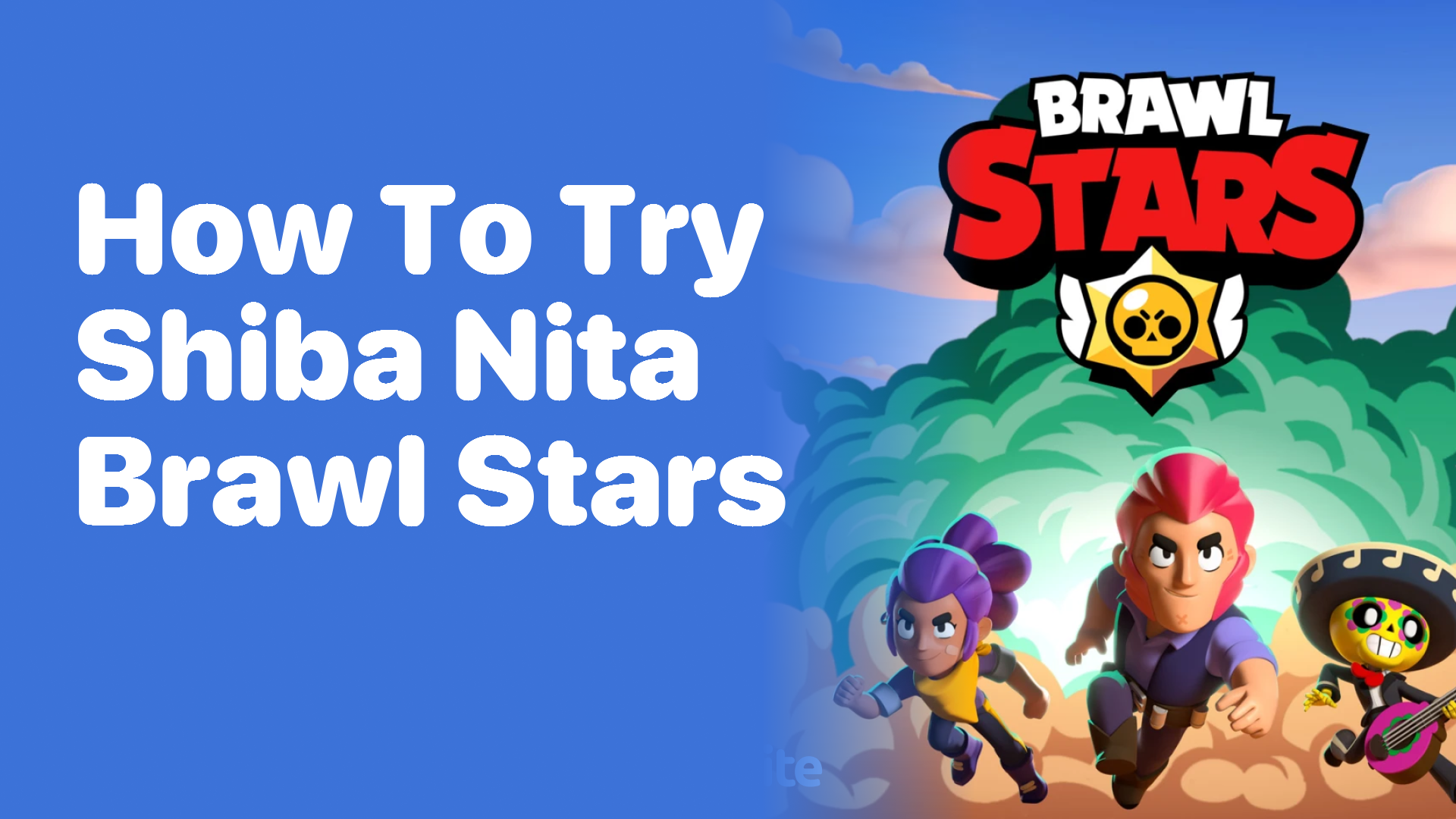 How to Try Shiba Nita in Brawl Stars