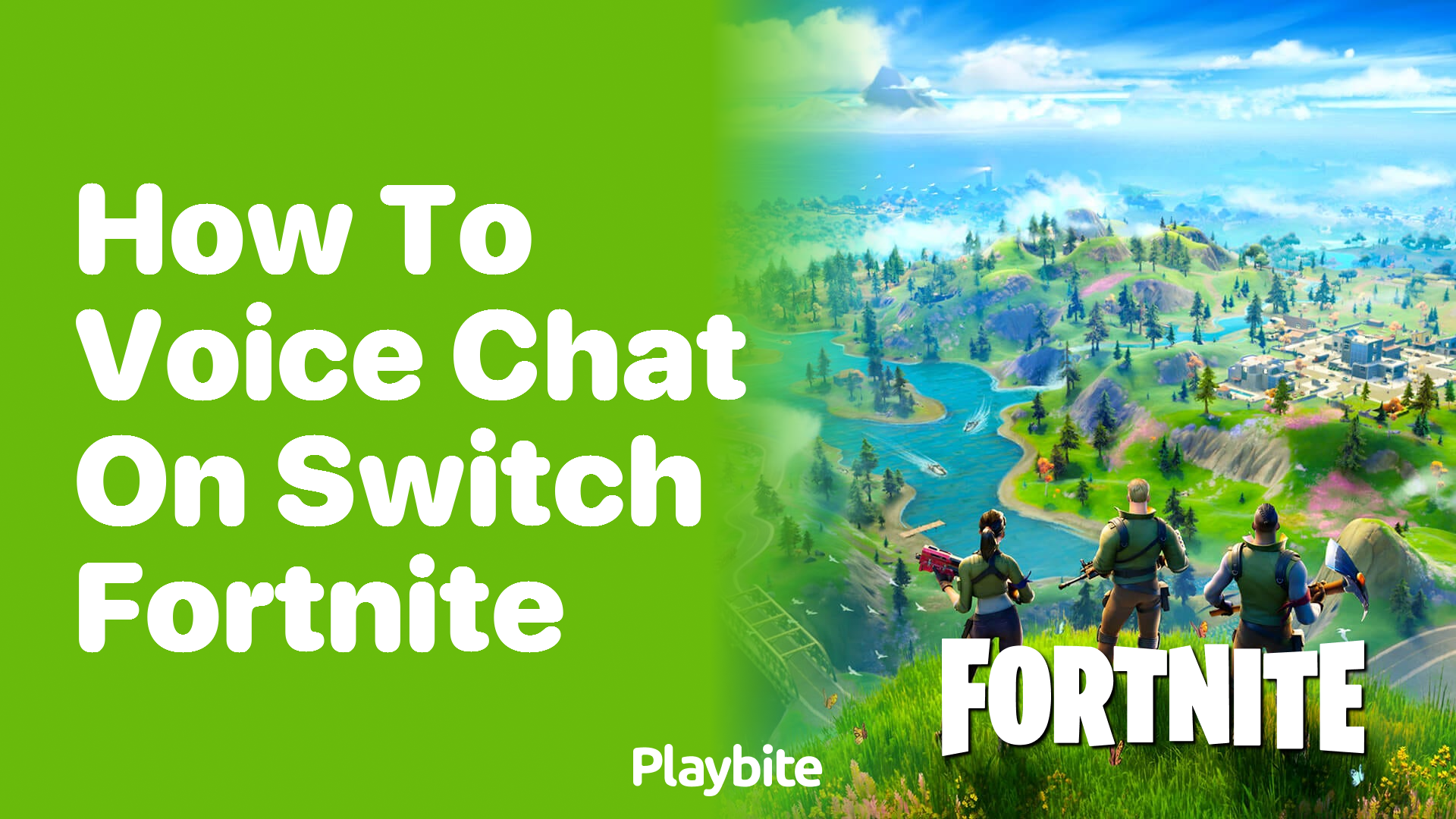How to Voice Chat on Switch Fortnite