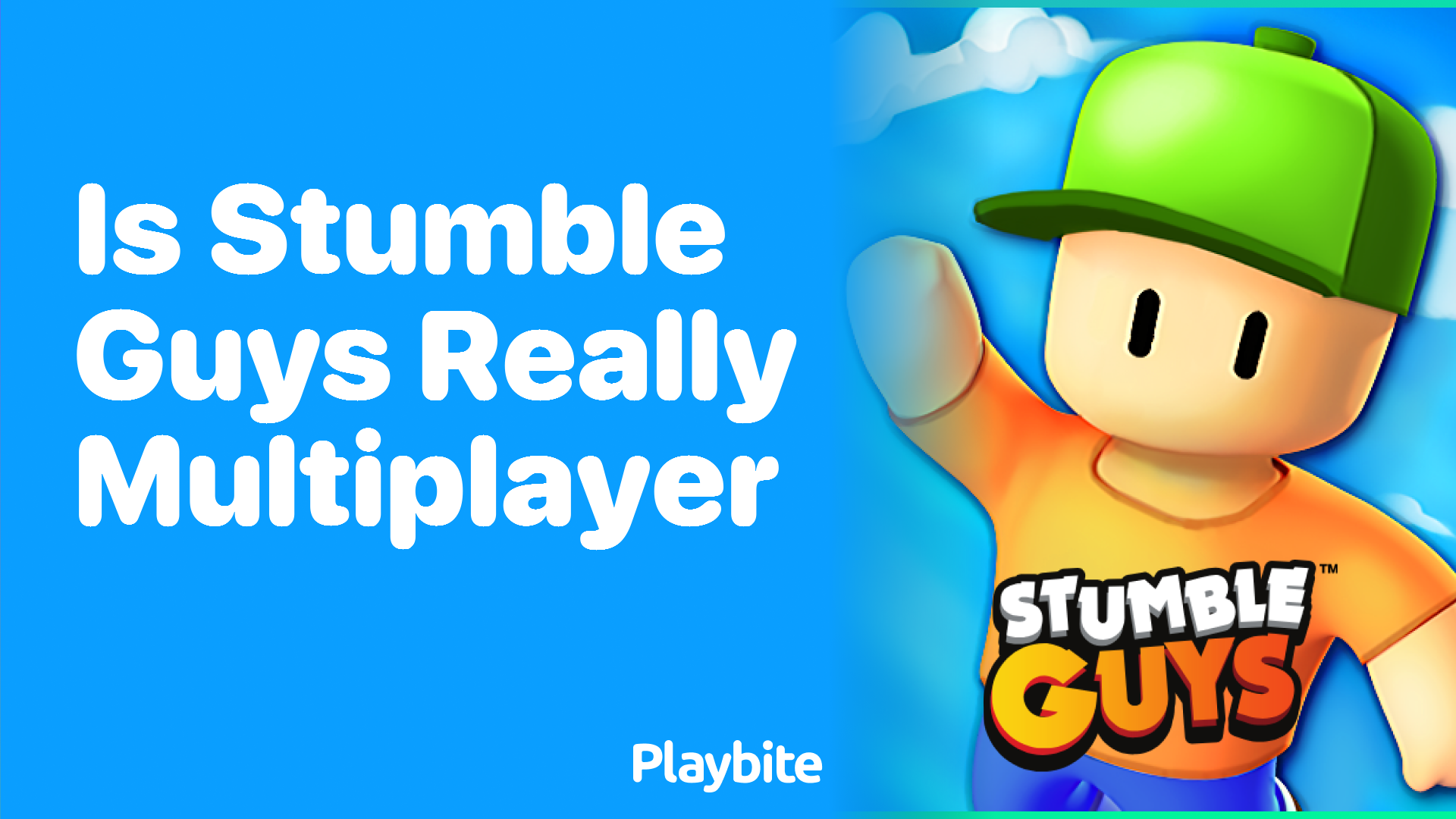 Is Stumble Guys Really Multiplayer?
