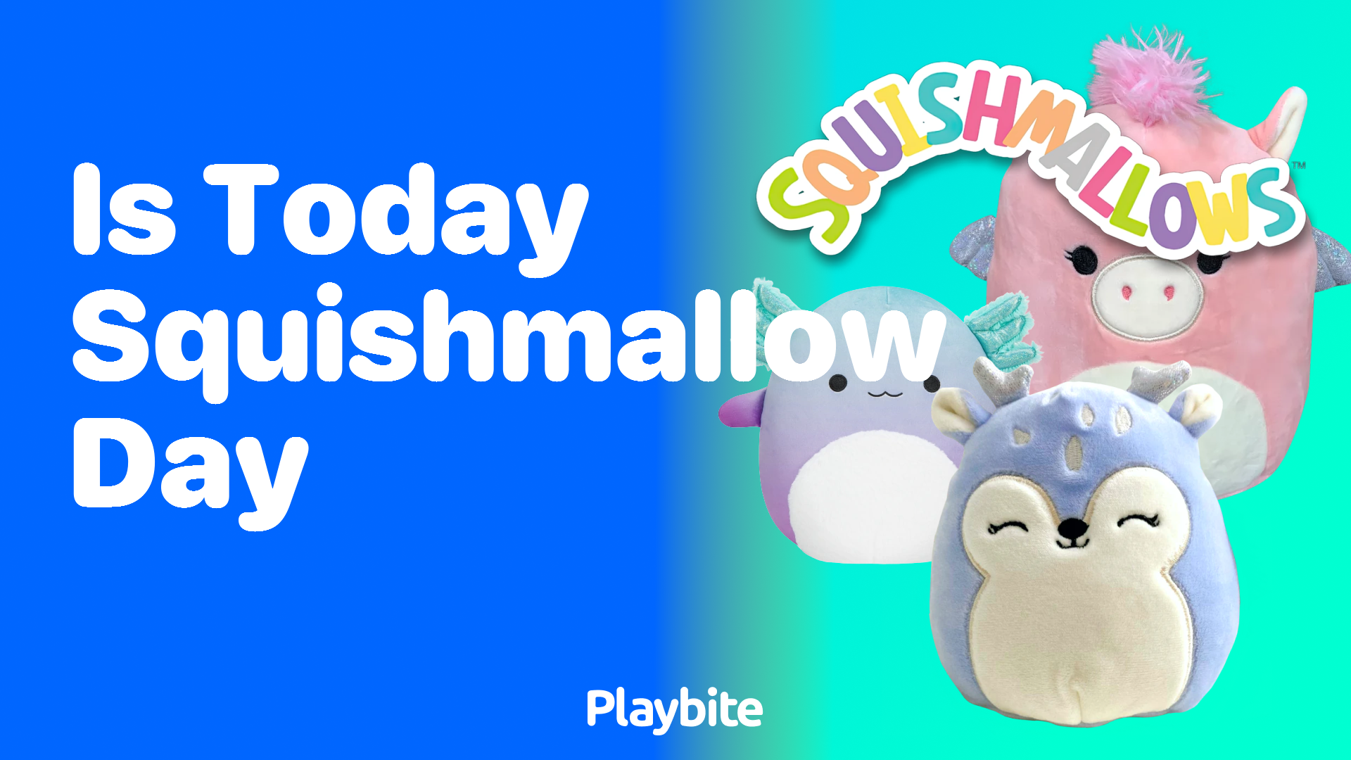 Is Today Squishmallow Day?