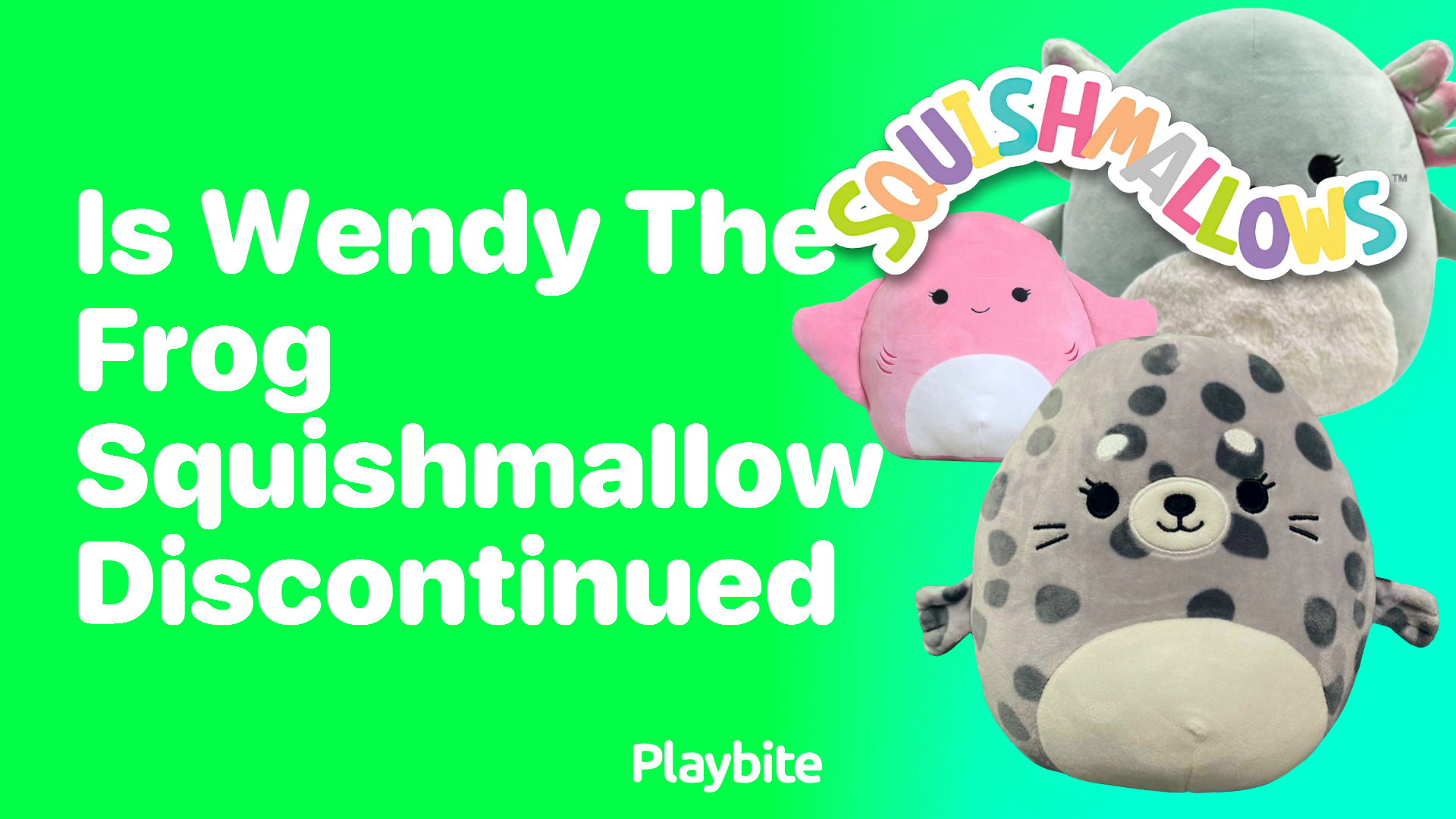 Is Wendy the Frog Squishmallow Discontinued? - Playbite