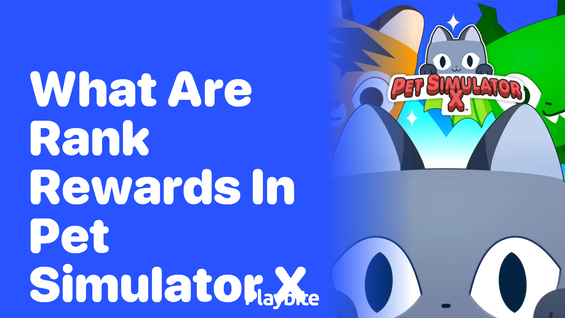 What are Rank Rewards in Pet Simulator X?