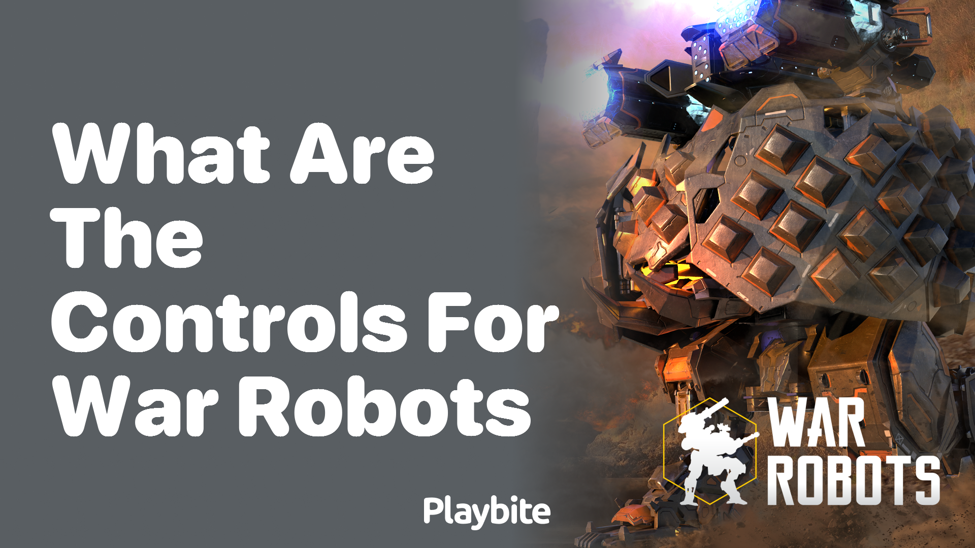 What Are the Controls for War Robots?