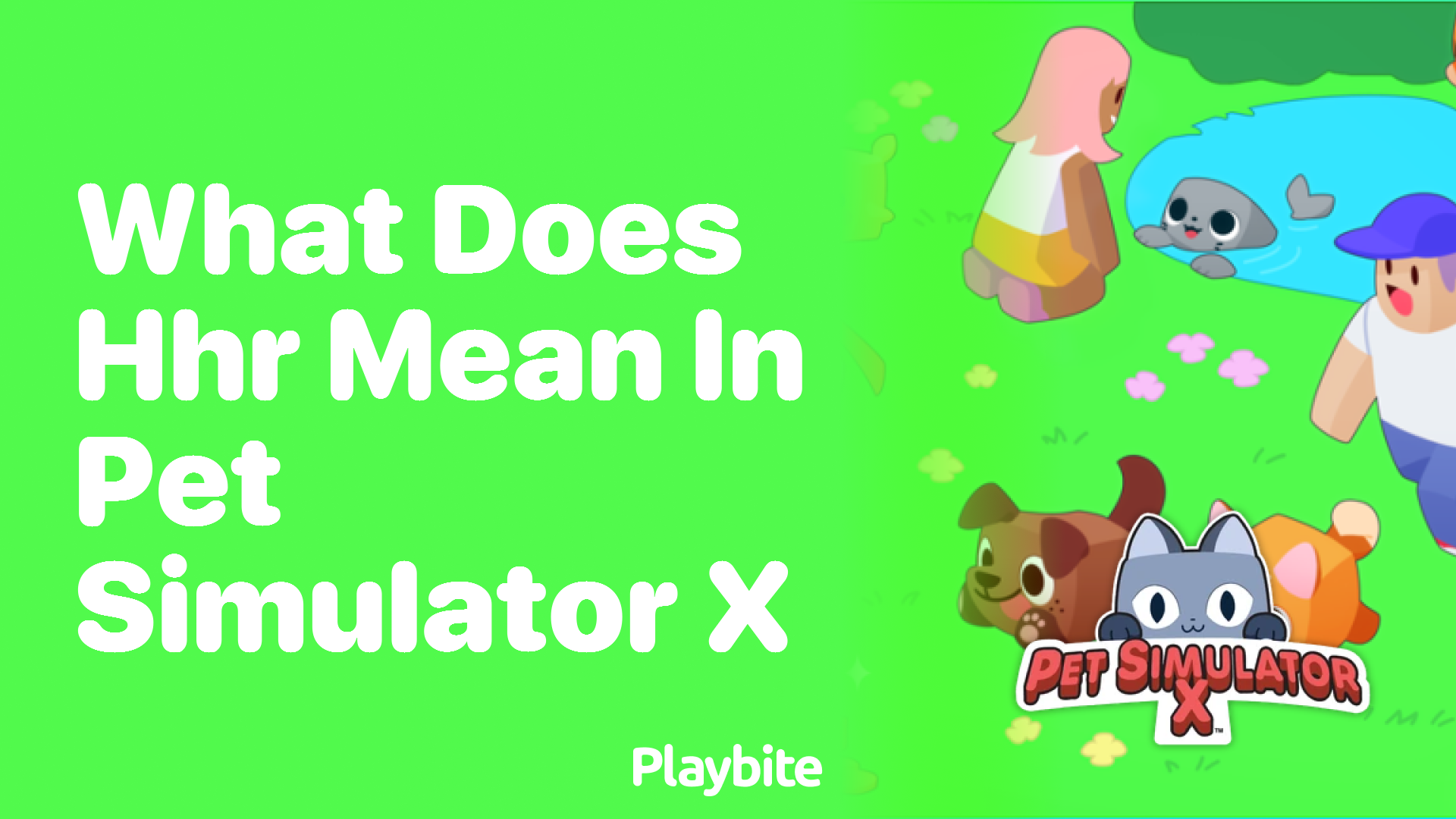 What Does HHR Mean in Pet Simulator X?