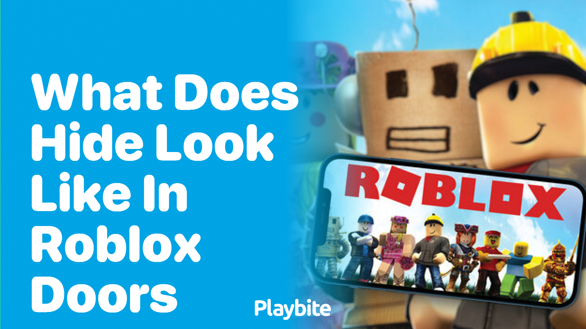 What Does Hide Look Like in Roblox Doors?