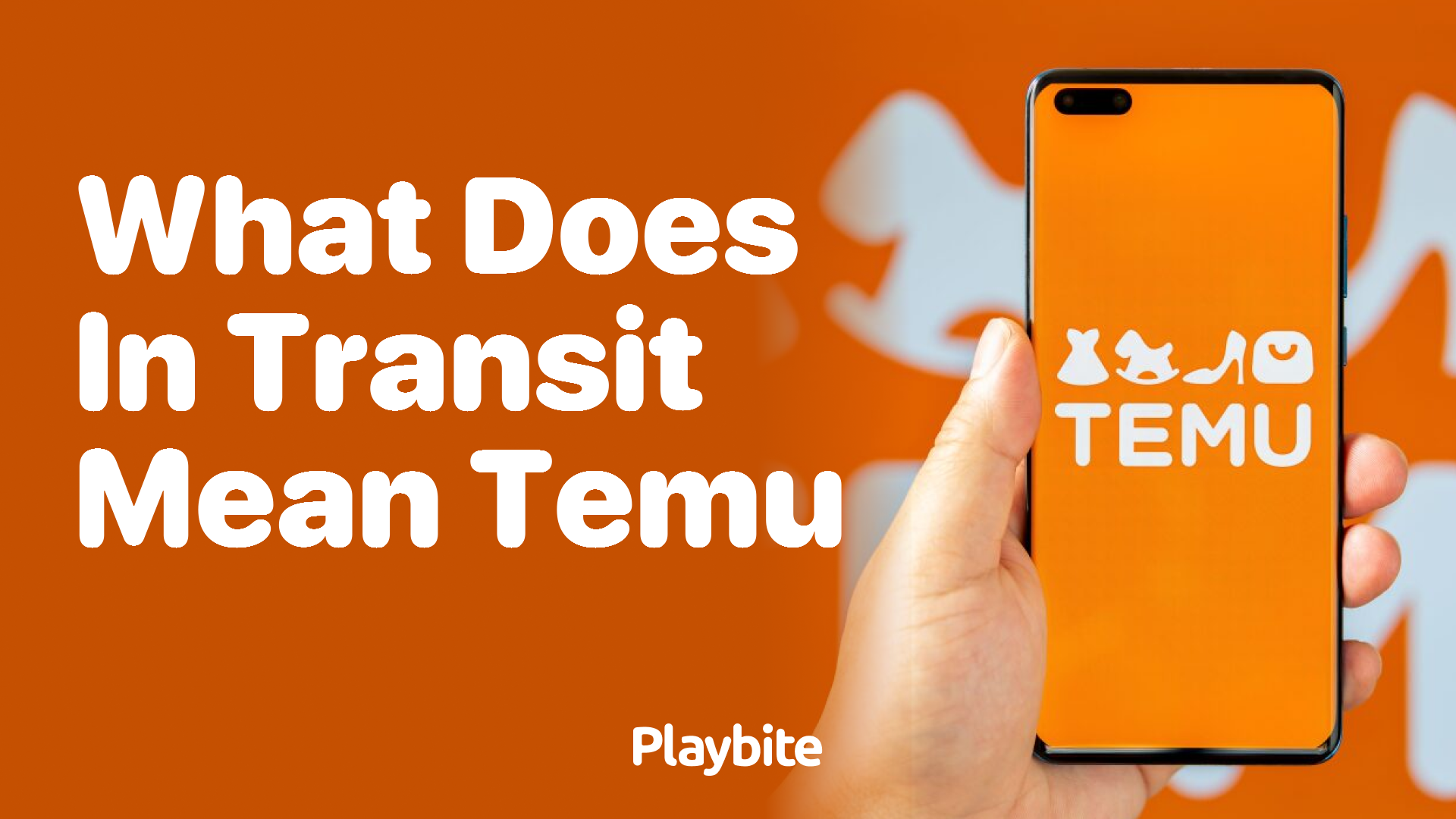 What Does &#8216;In Transit&#8217; Mean on Temu?