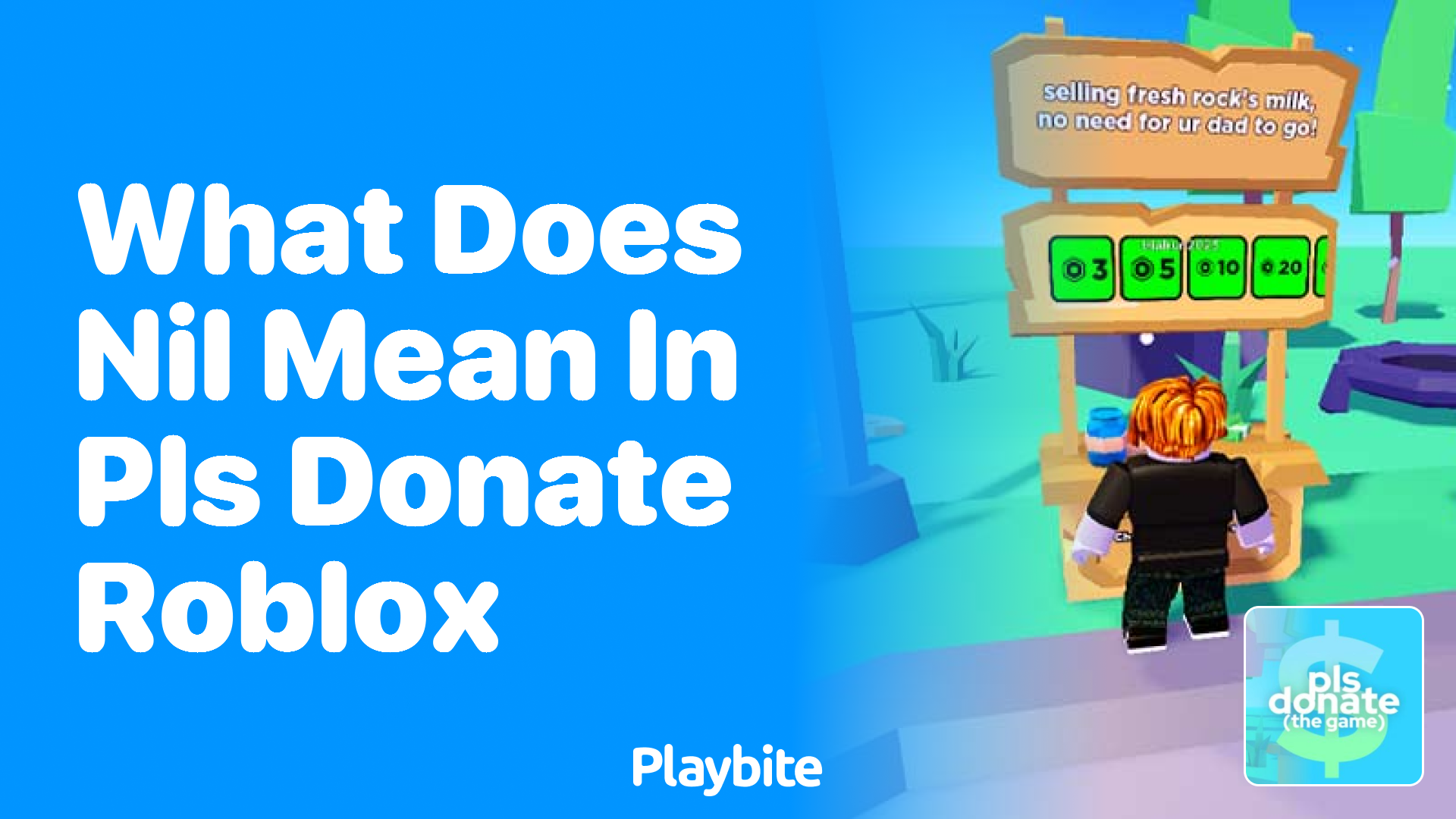 What Does &#8216;Nil&#8217; Mean in PLS DONATE Roblox?