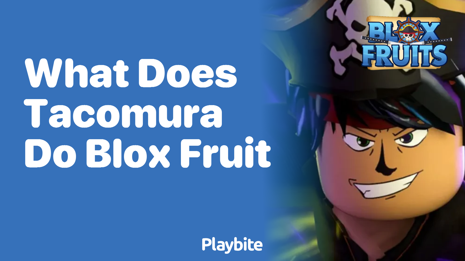What Does Do in Blox Fruit? Playbite