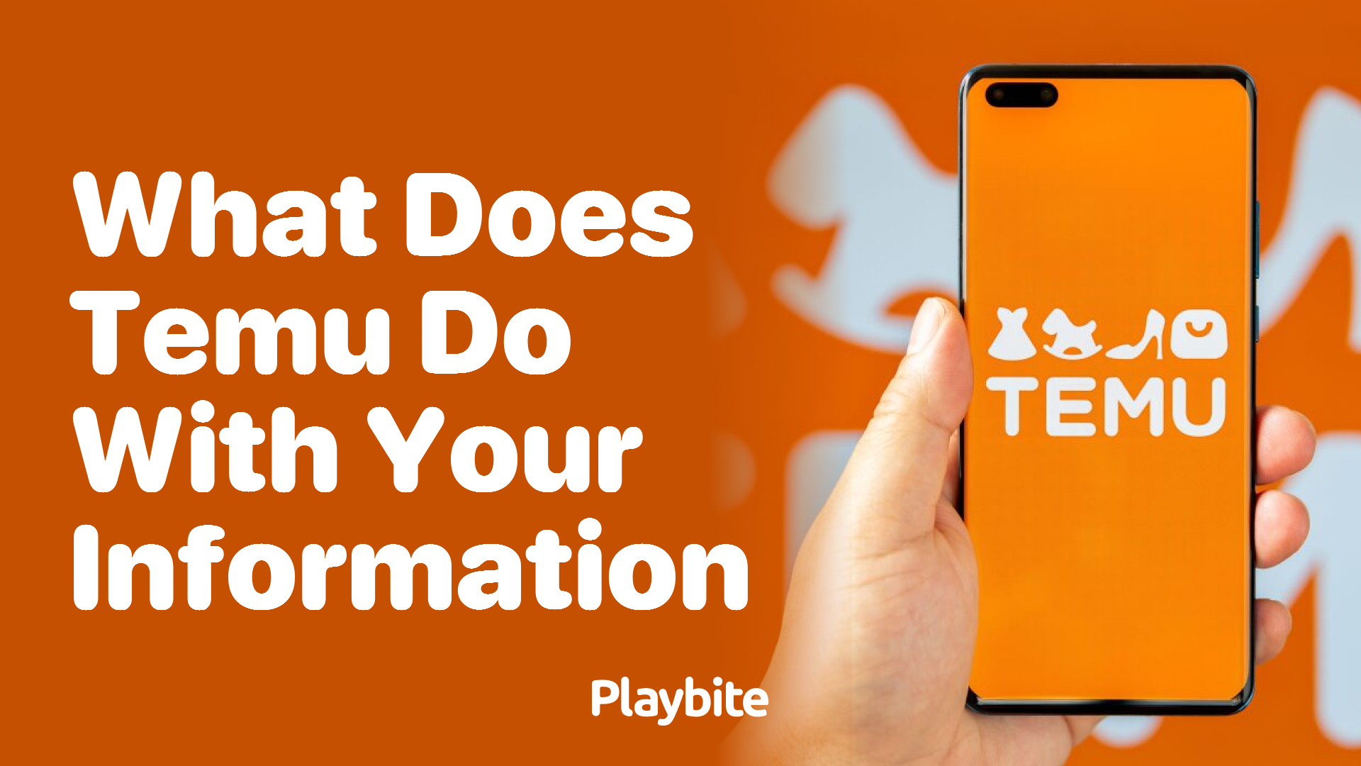 What Does Temu Do with Your Information? Unpacking the Facts!