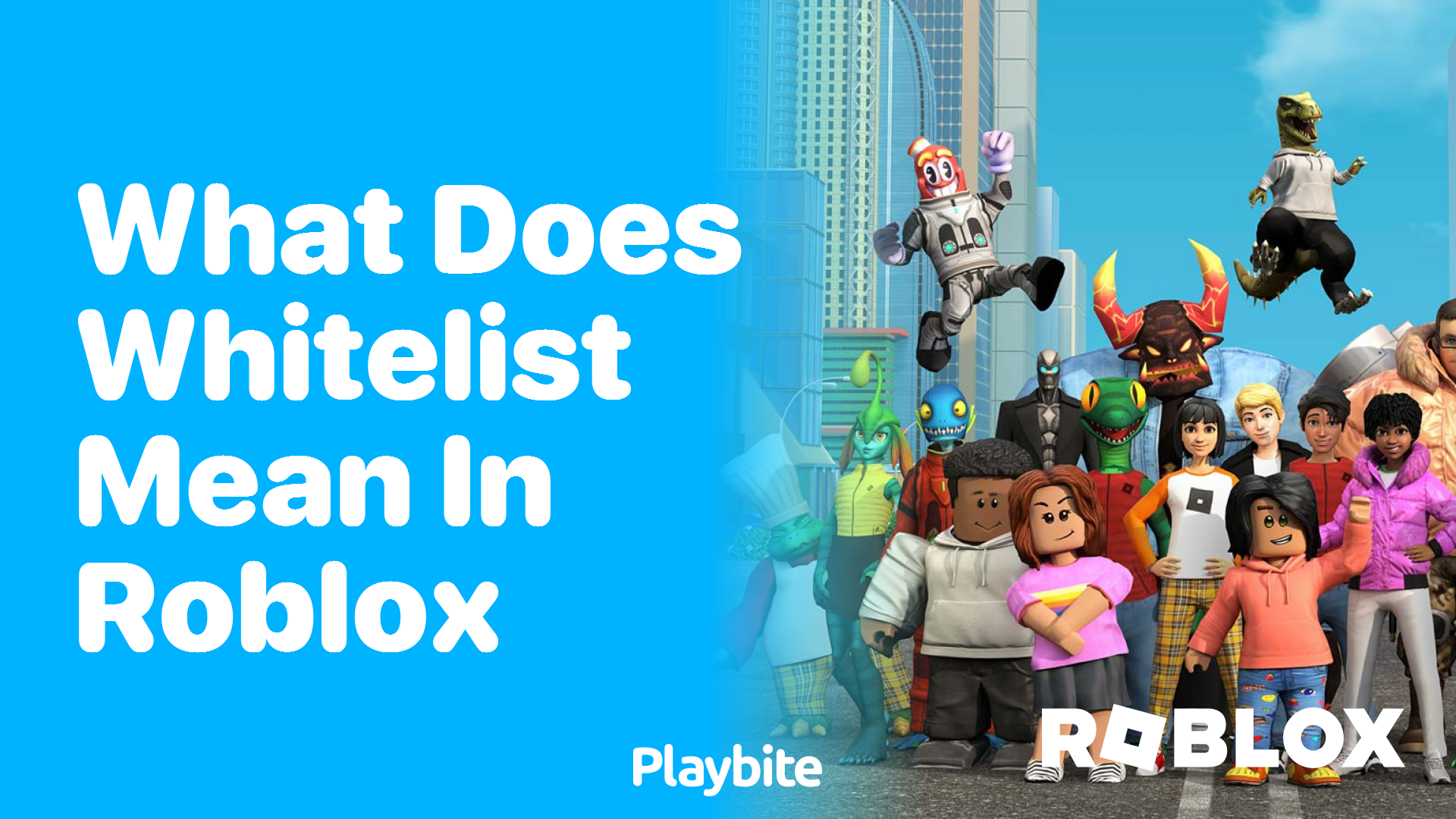 What Does Whitelist Mean in Roblox?