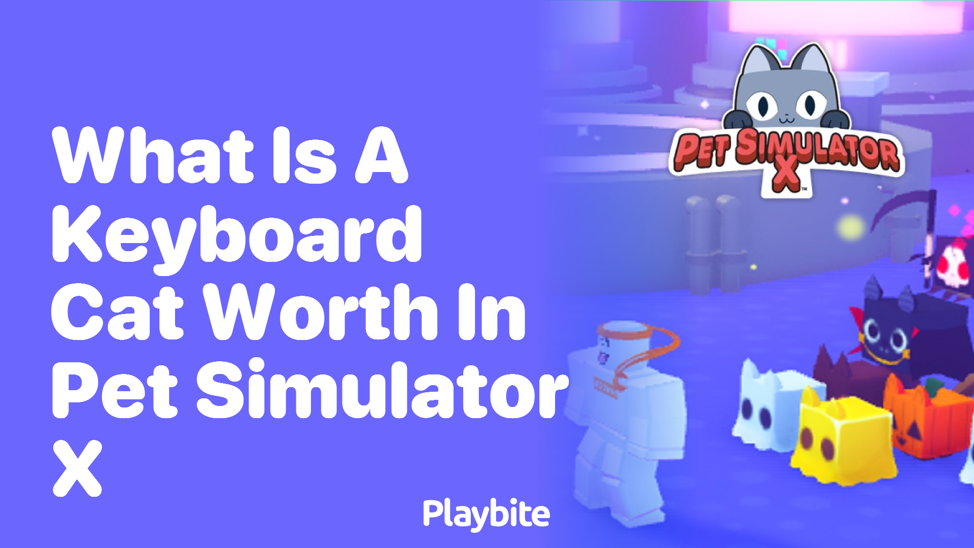 What is a Keyboard Cat Worth in Pet Simulator X?