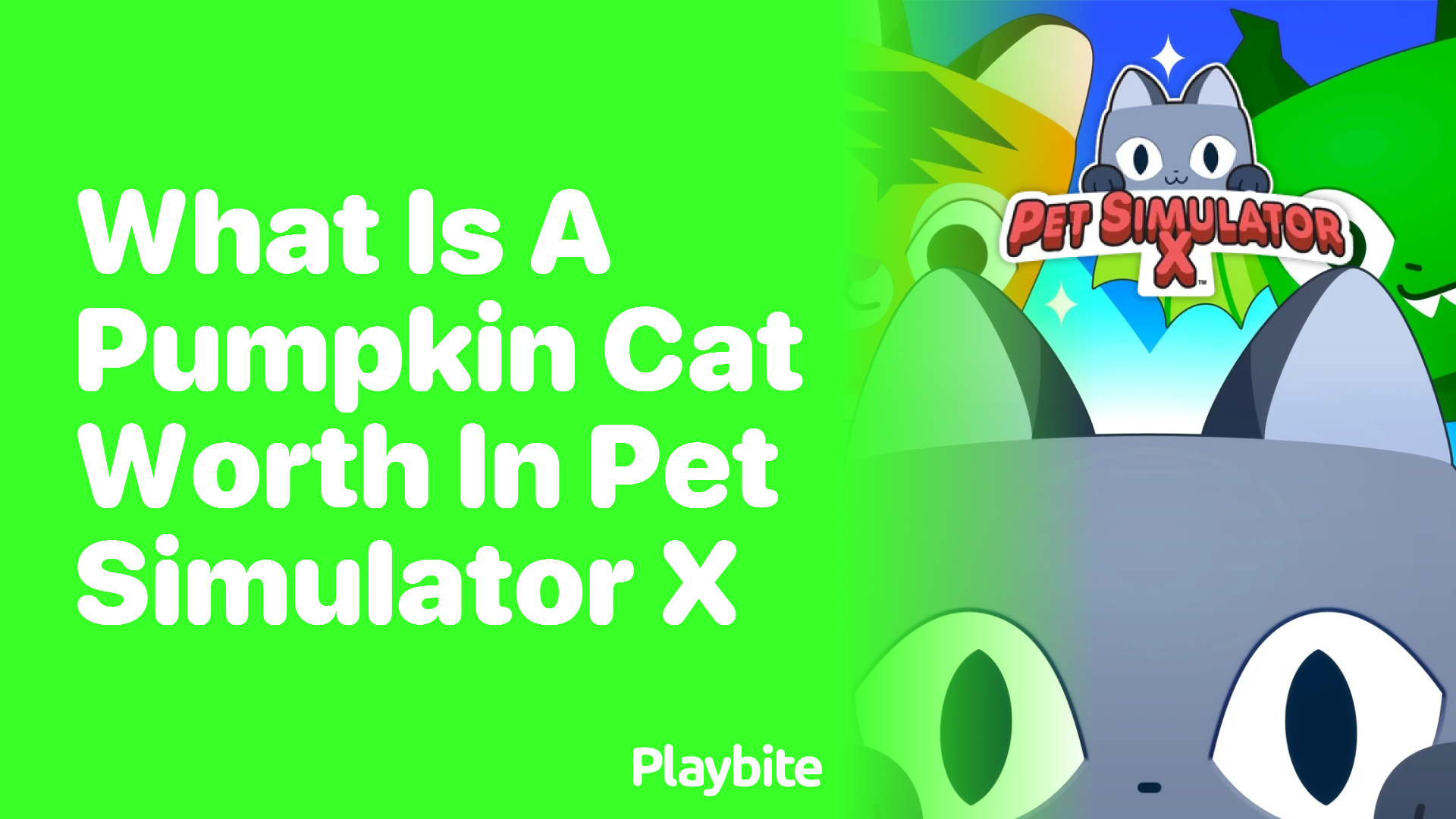 What is a Pumpkin Cat Worth in Pet Simulator X?
