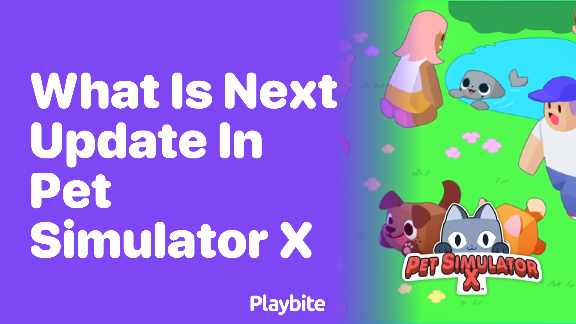What&#8217;s the Next Update in Pet Simulator X?