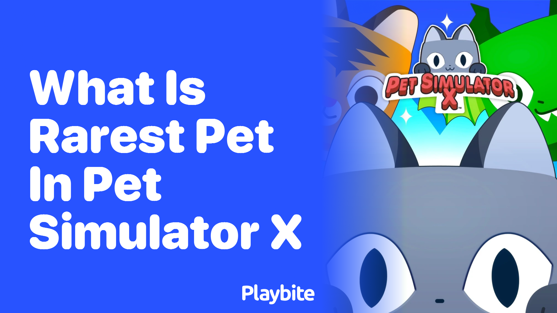 Discovering the Rarest Pet in Pet Simulator X