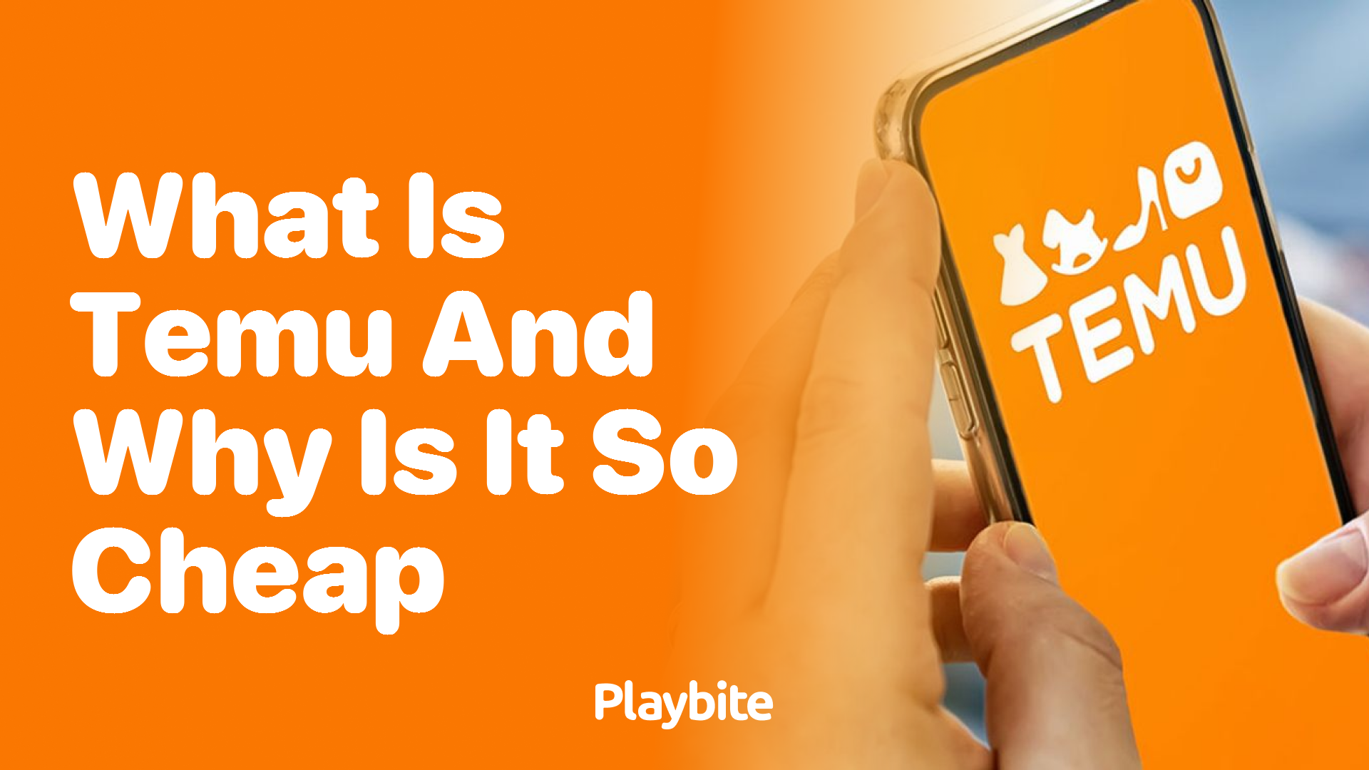 What is Temu and Why Are Its Prices So Low?