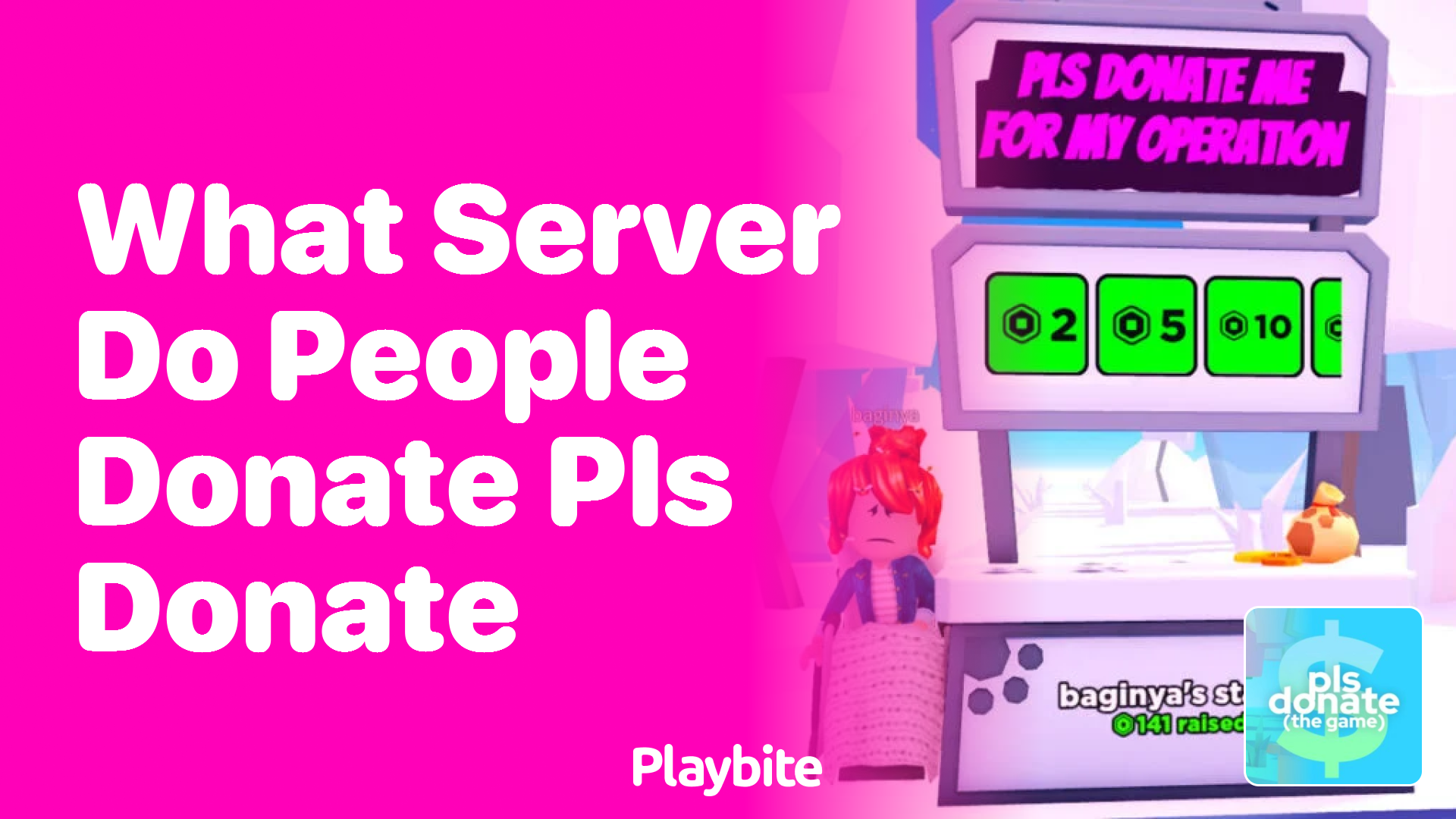 What Server Do People Use to Donate in PLS DONATE?